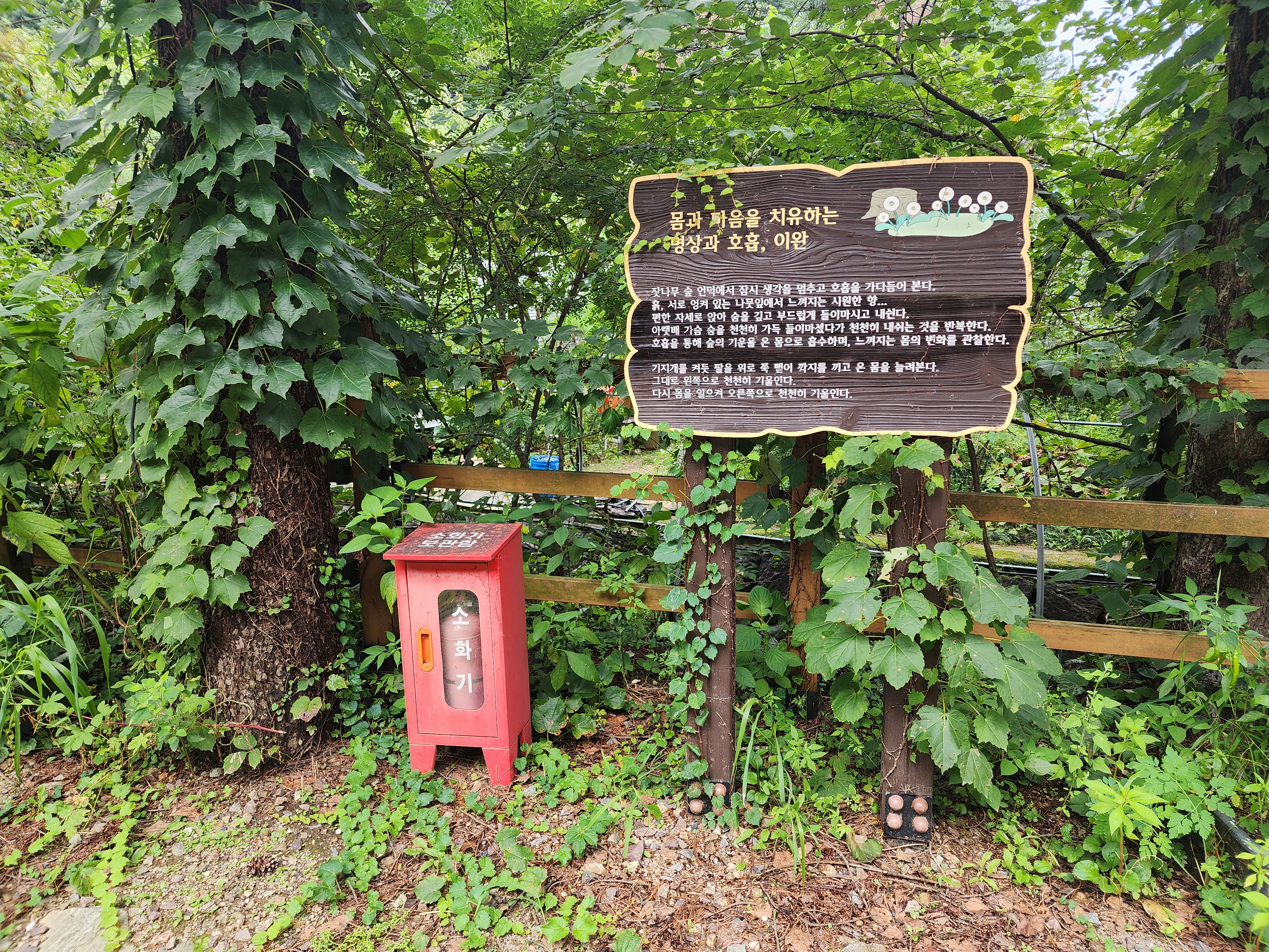 잣숲캠핑장 이미지