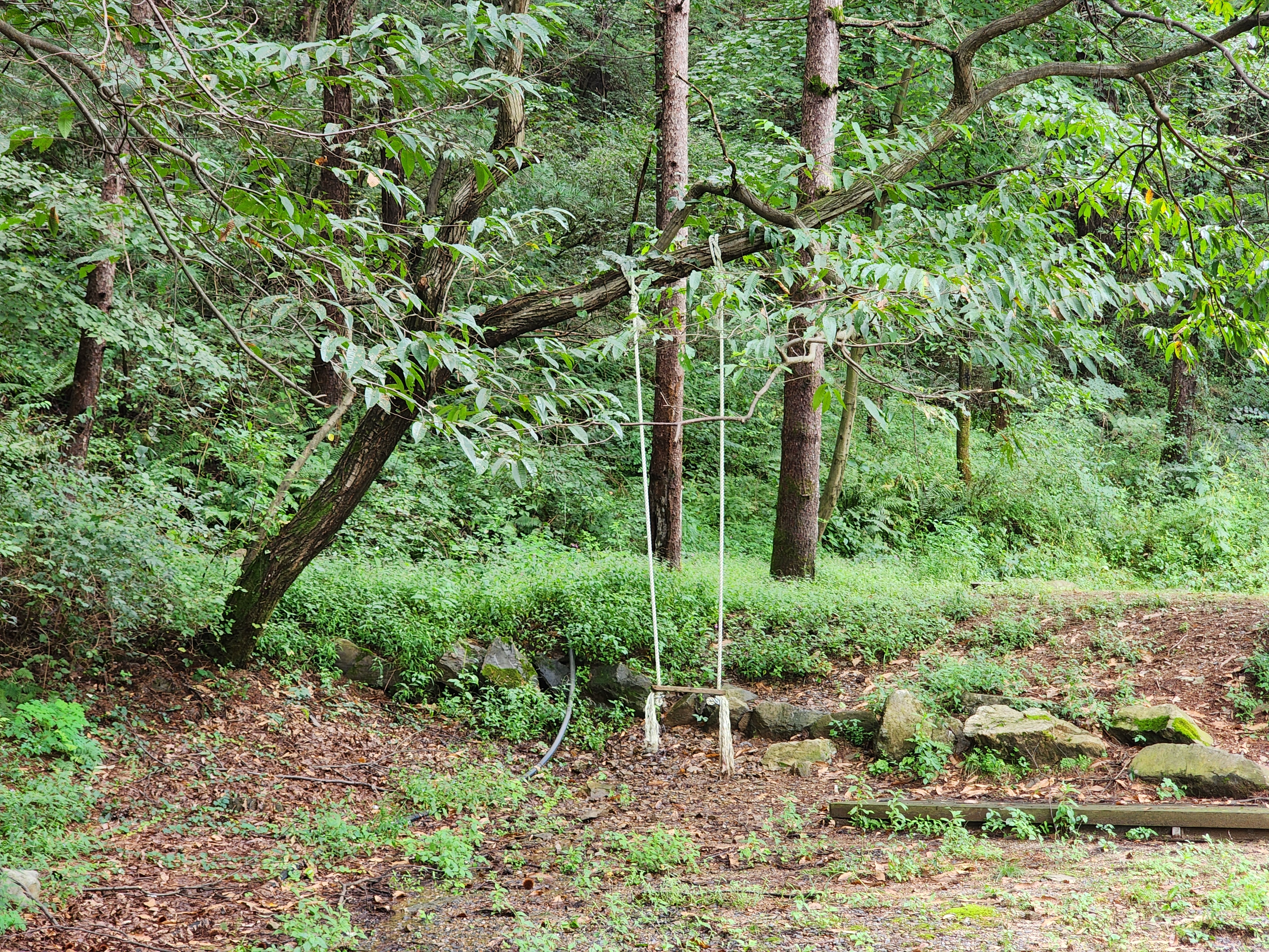 잣숲캠핑장 이미지