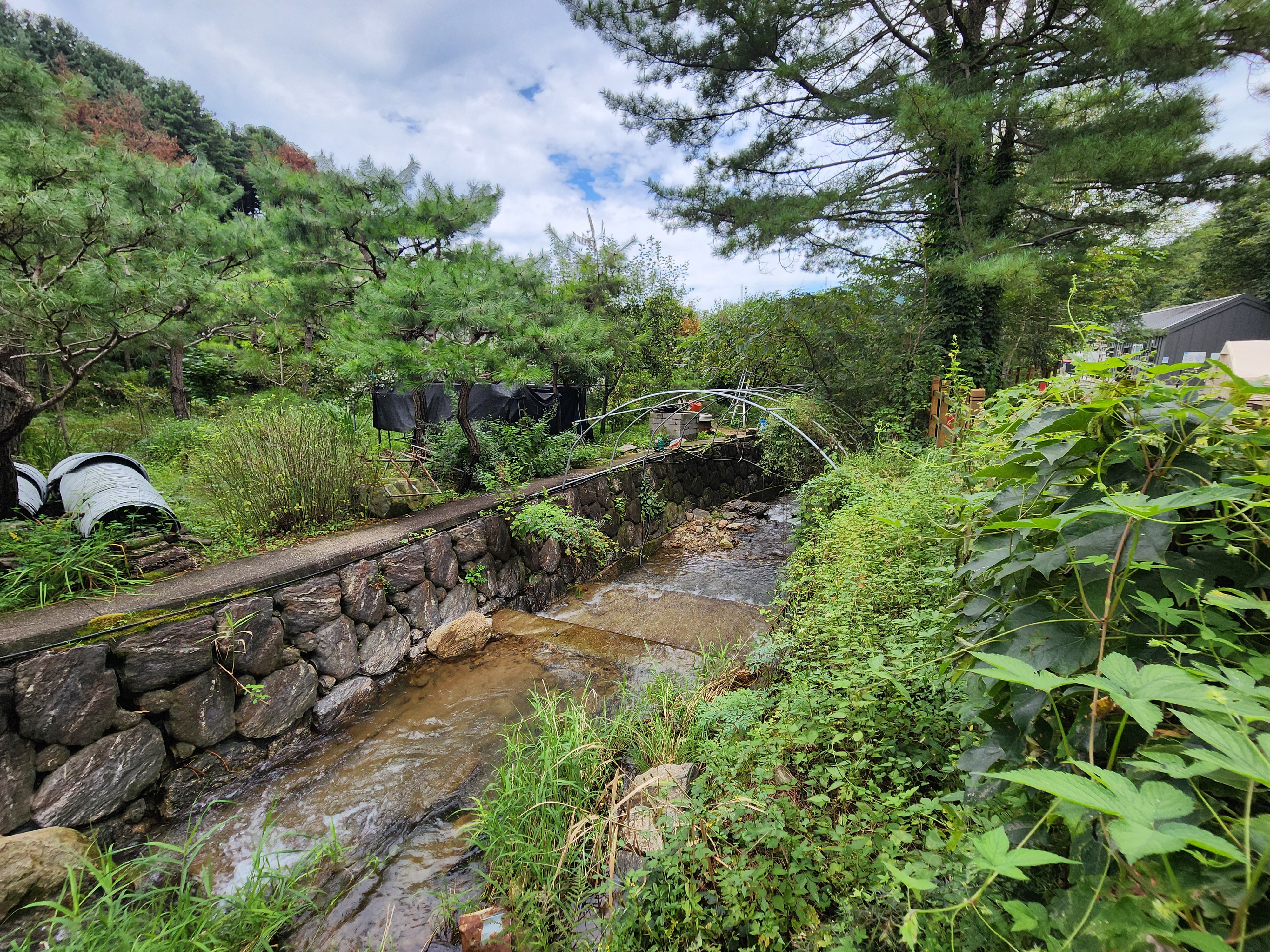 잣숲캠핑장 이미지