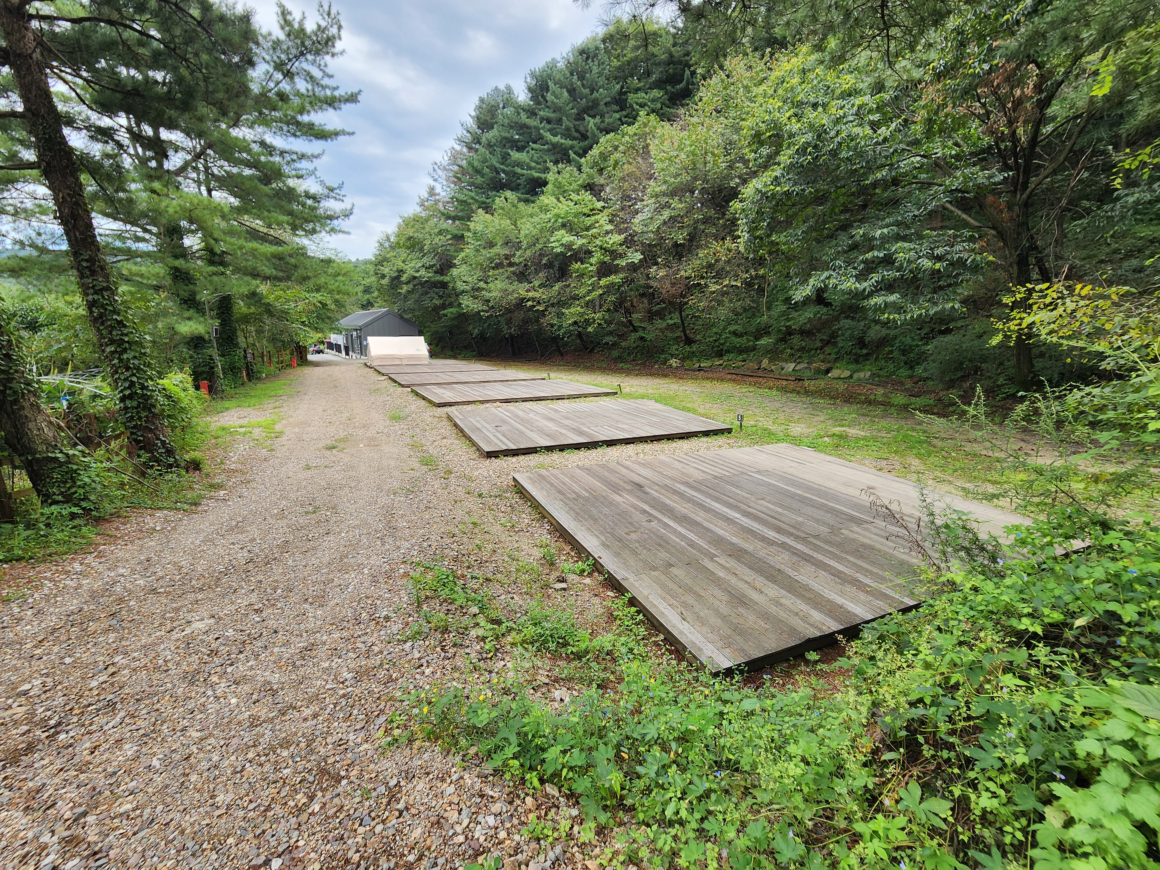 잣숲캠핑장 이미지