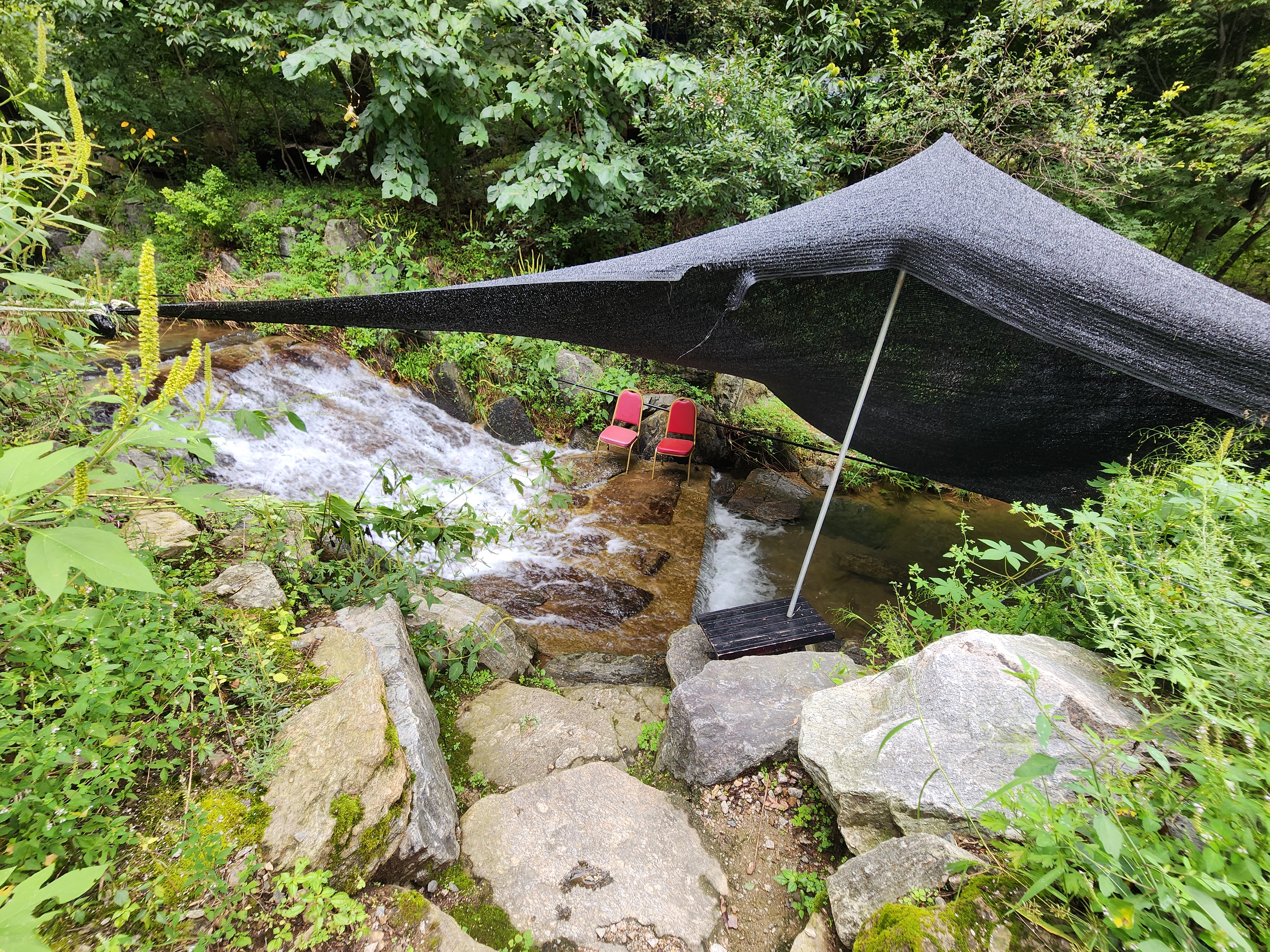 잣숲캠핑장 이미지