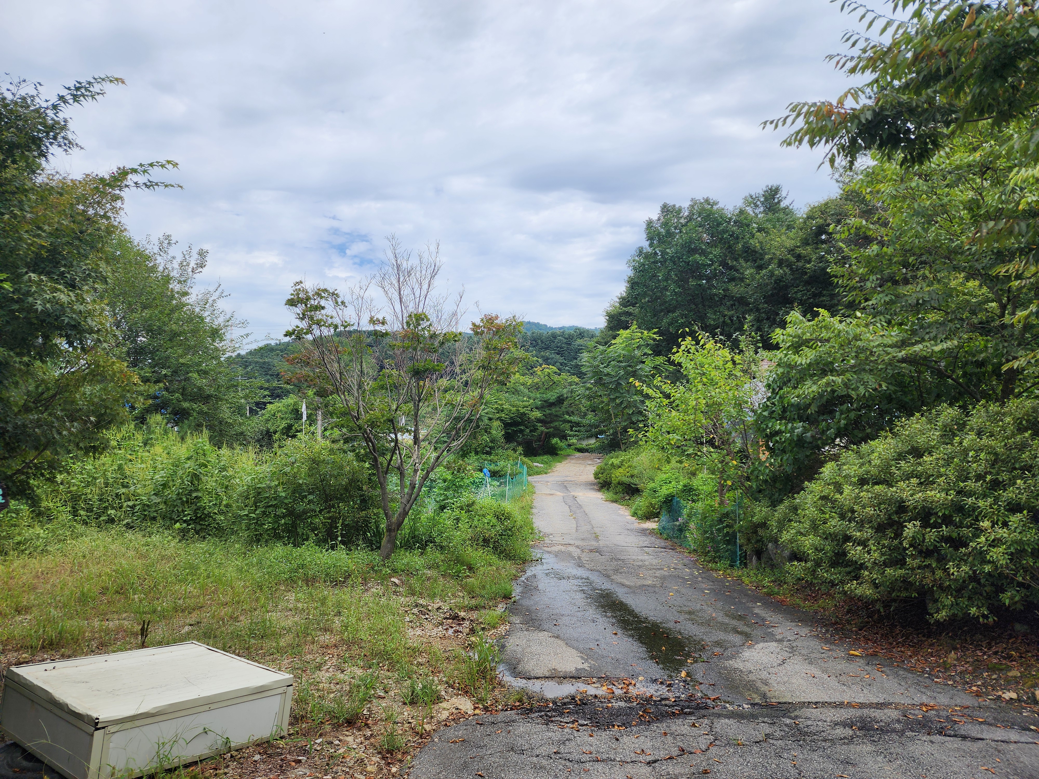 잣숲캠핑장 이미지