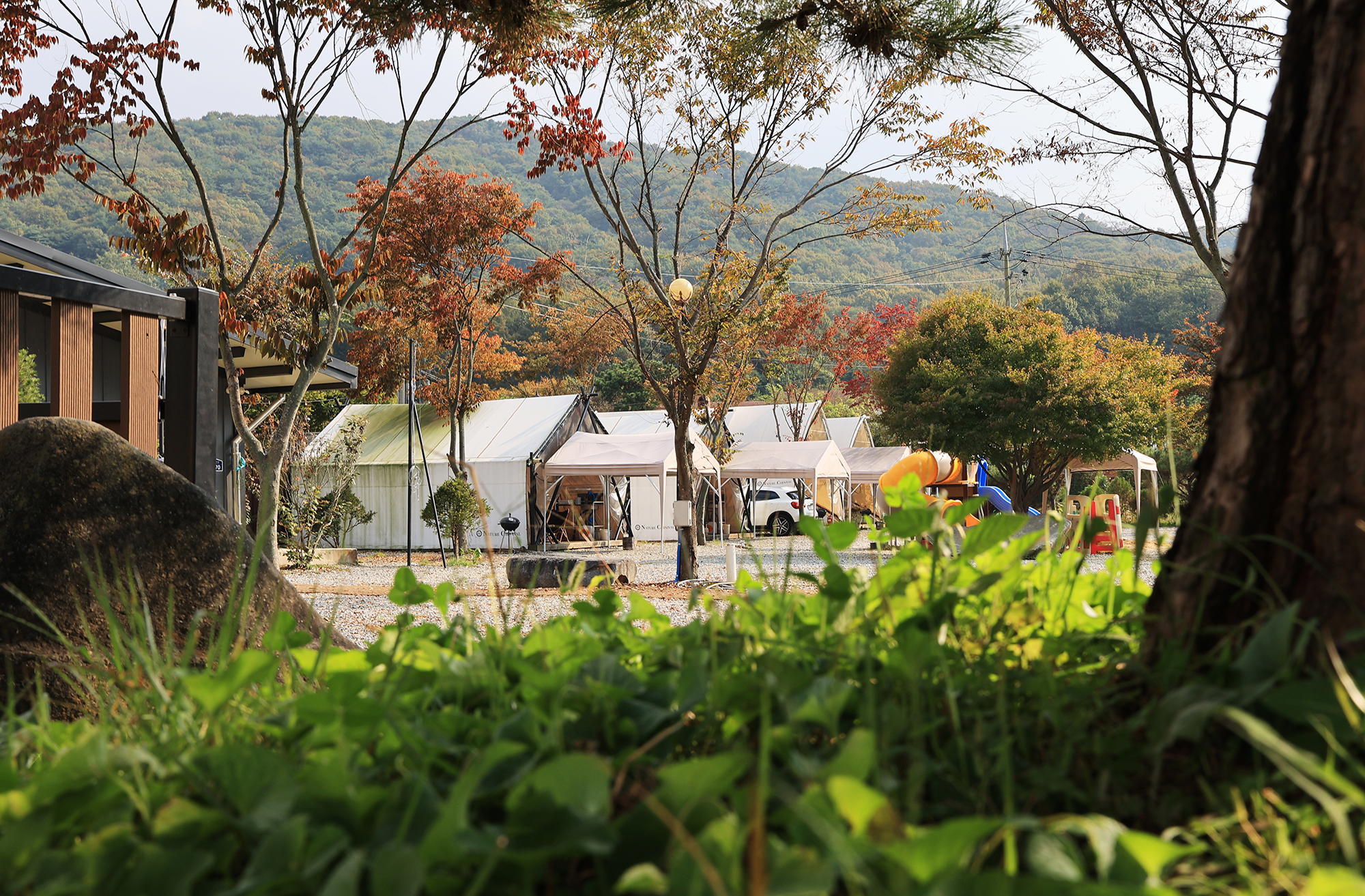 히든캠프 이미지