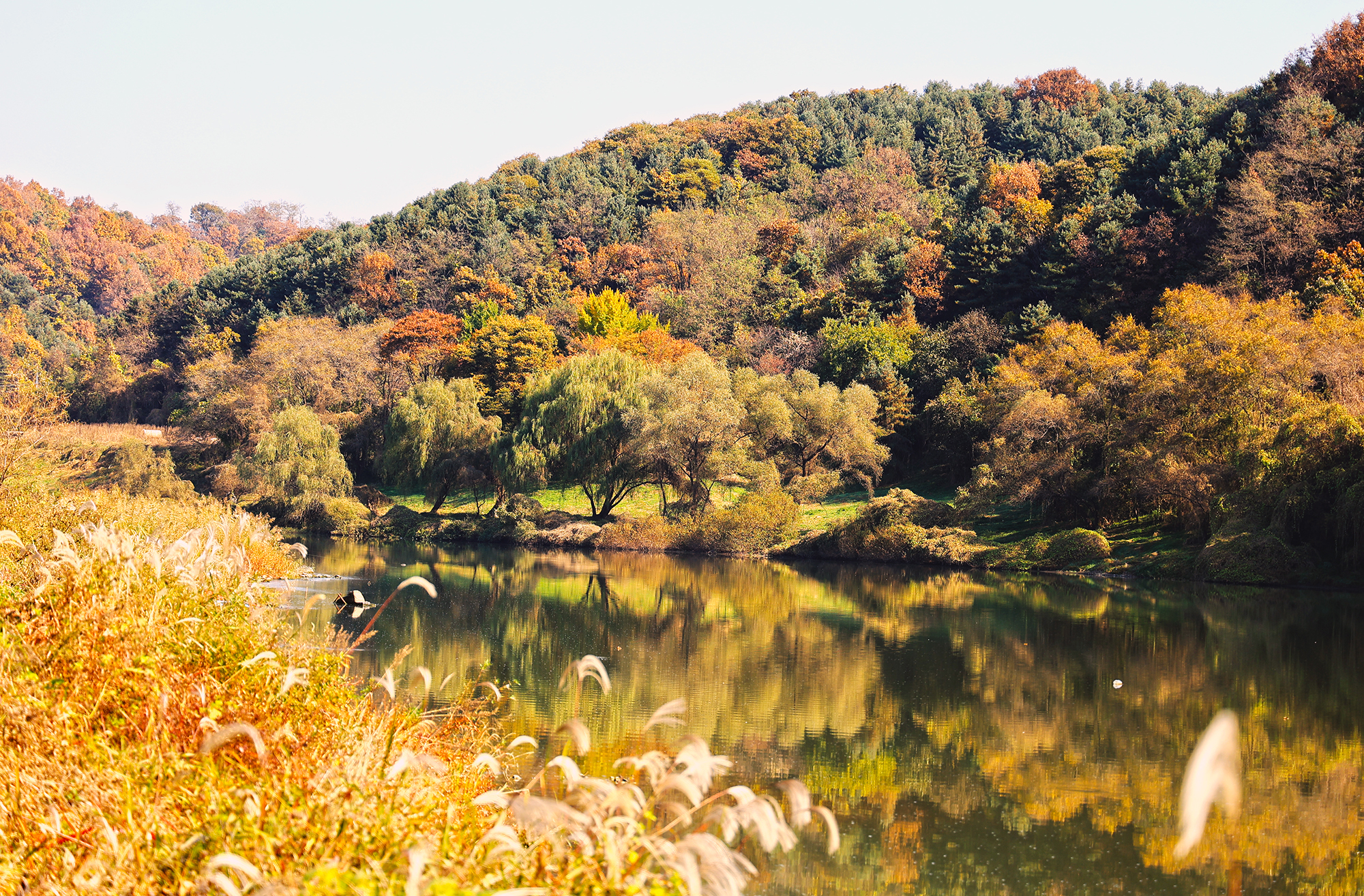 한탄강 카누 캠핑장 이미지