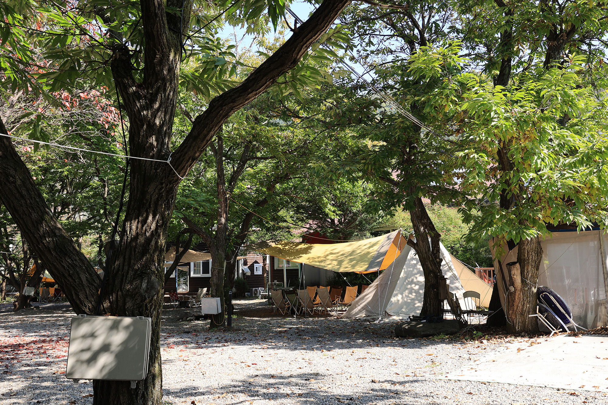 알프스펜션 캠핑&글램핑 이미지