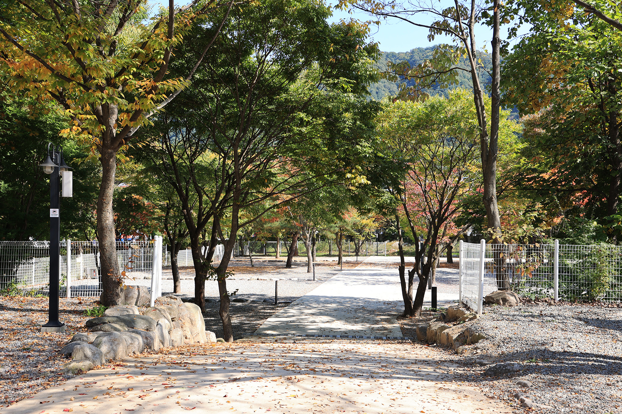 JIAN 이미지