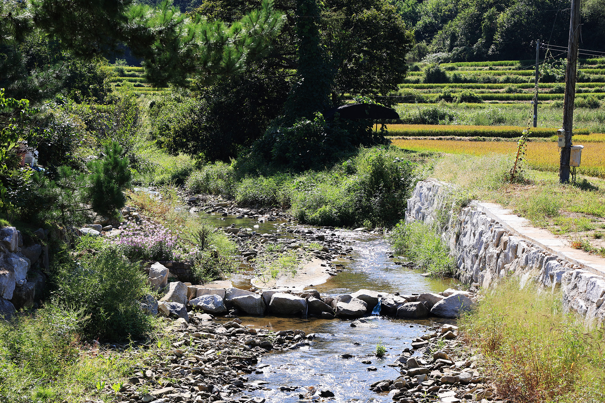 달별캠핑 이미지