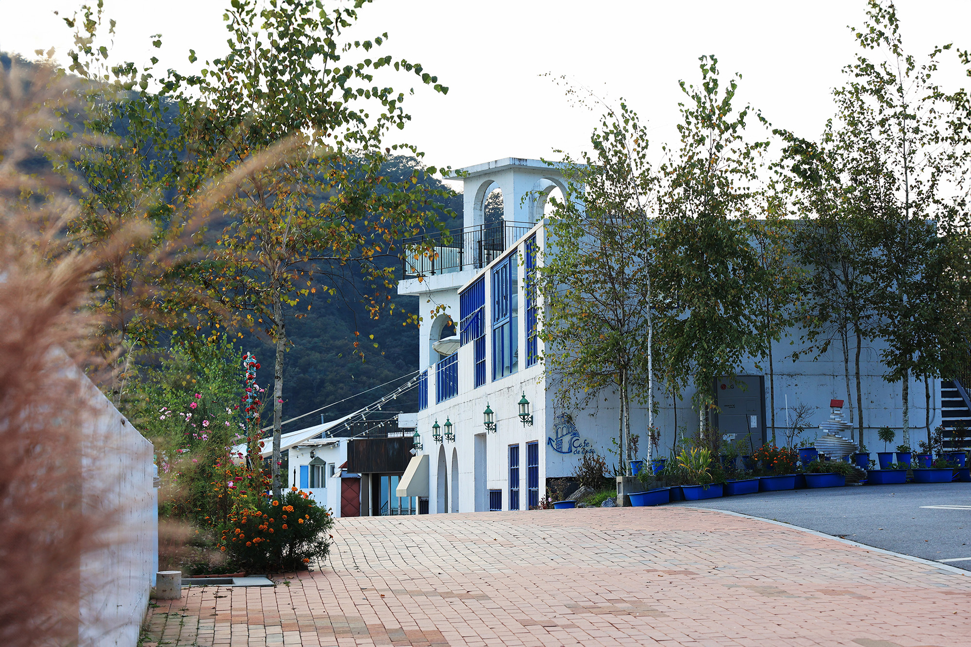 스테이온디엣지 이미지