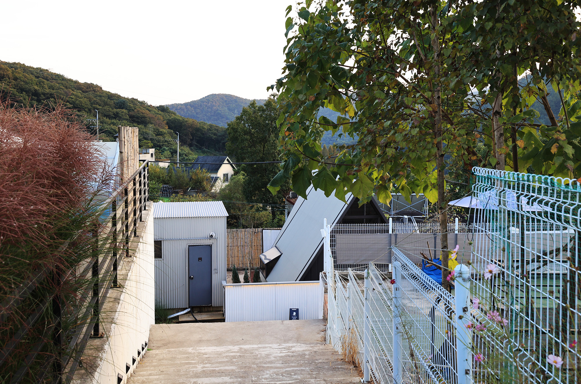 스테이온디엣지 이미지