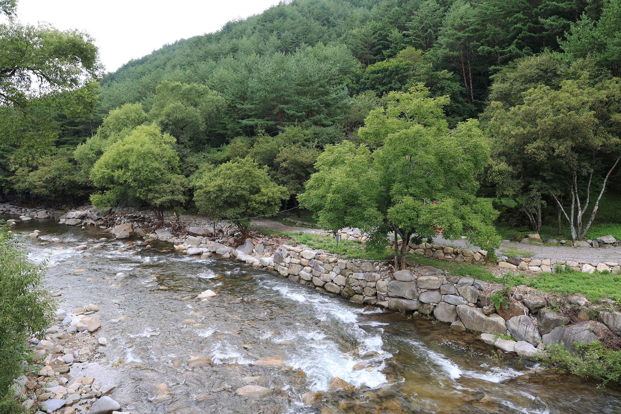 상동 장산 야영장 18번째 이미지