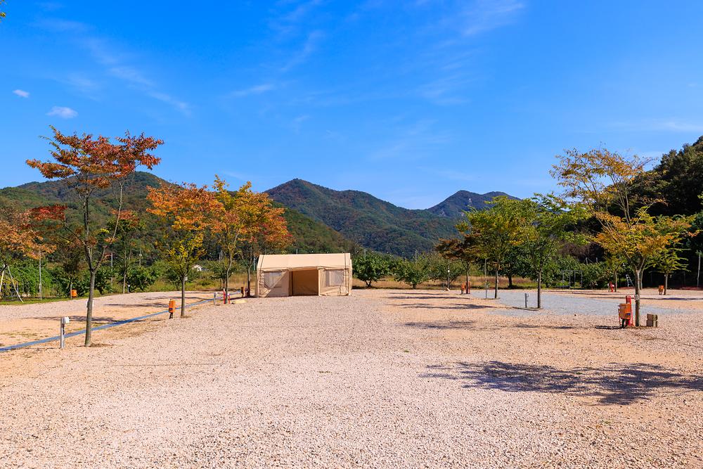 돌고래 오토 캠핑장