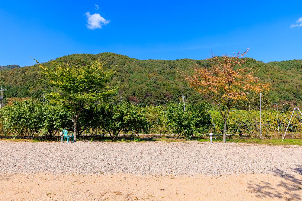 돌고래 오토 캠핑장