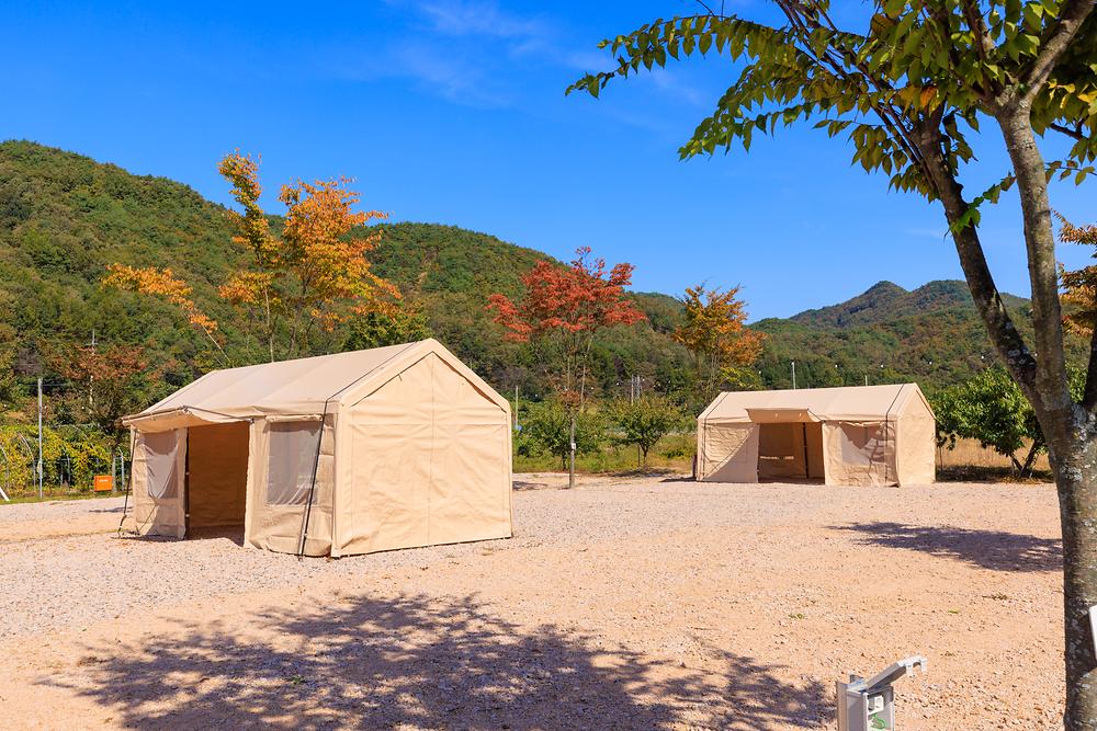 돌고래 오토 캠핑장