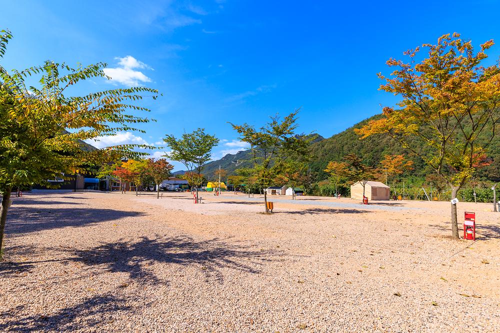 돌고래 오토 캠핑장