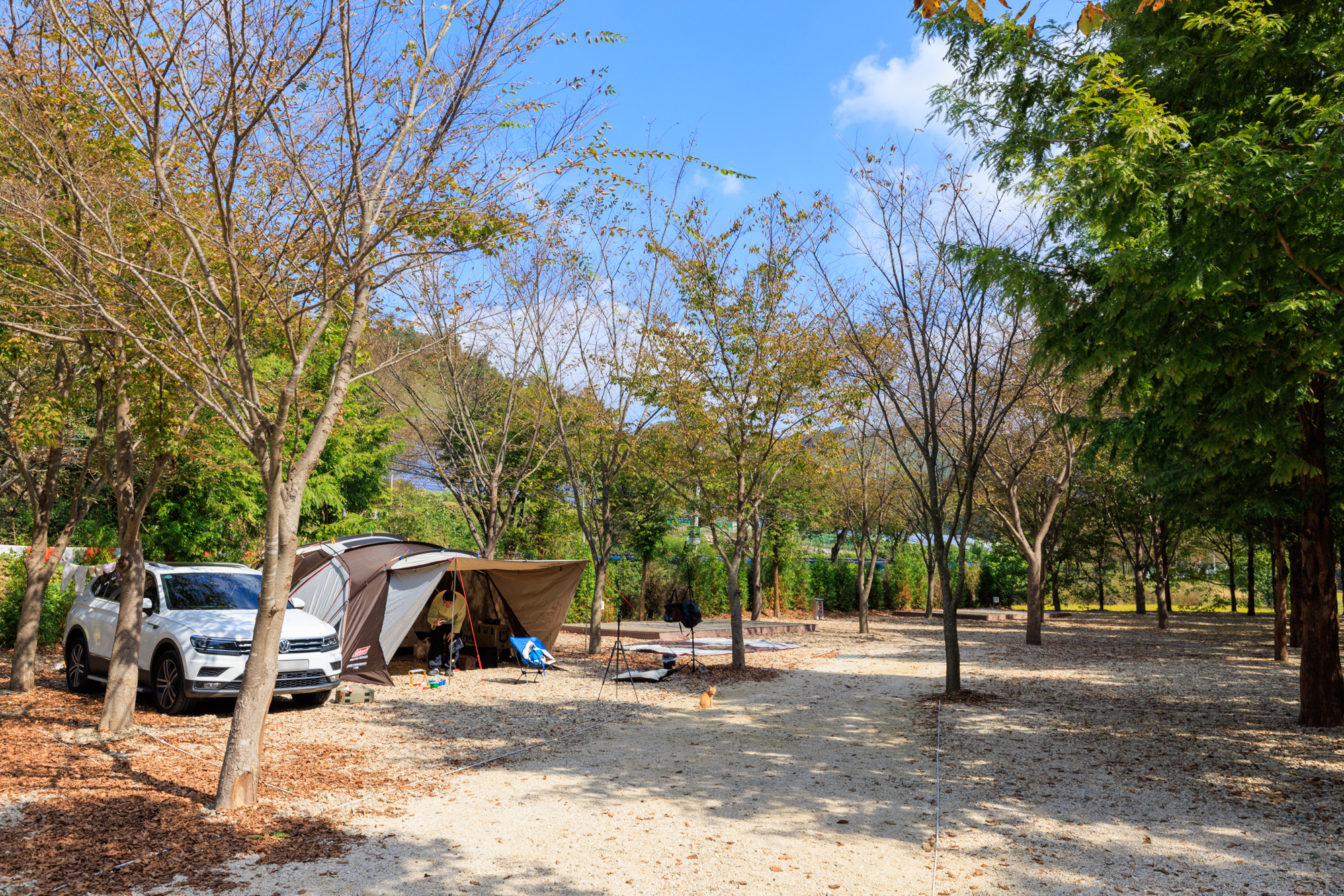 금산 자연 오토캠핑장 19번째 이미지