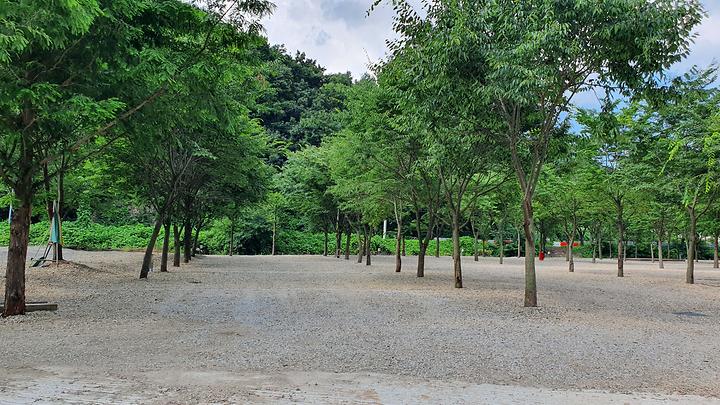 문수산 자연휴양림 야영장