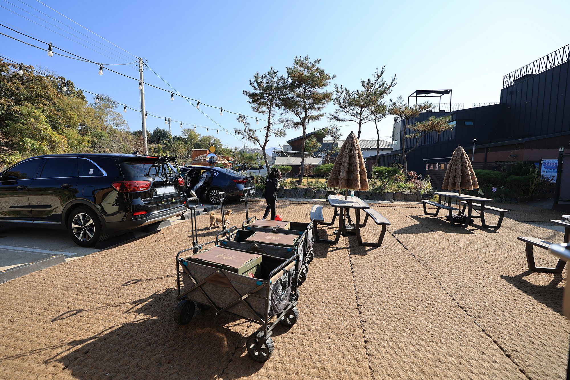 라구나캠프 이미지