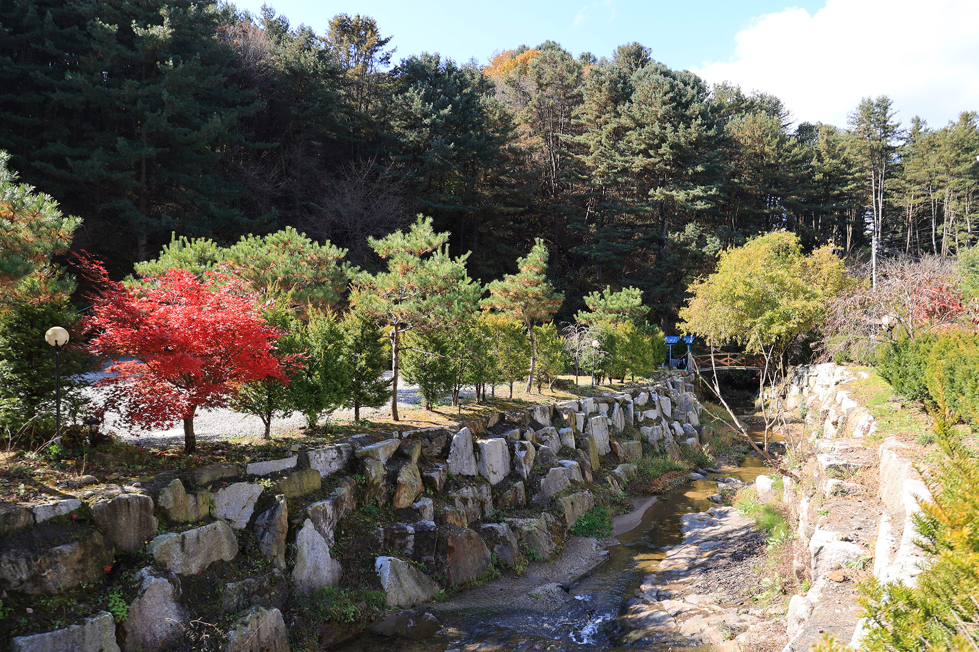 포천 땡큐247 캠핑장 이미지