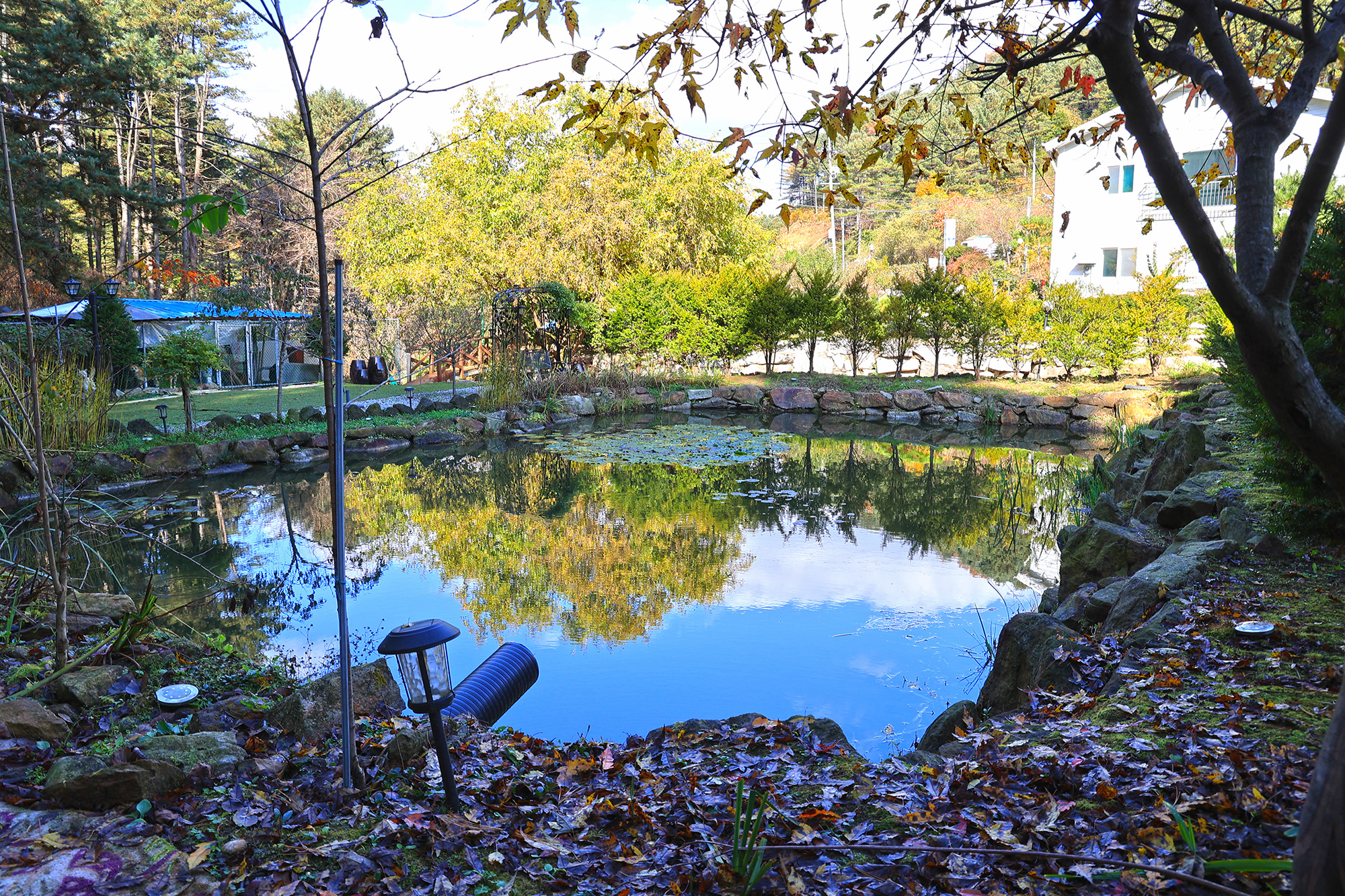 포천 땡큐247 캠핑장 이미지