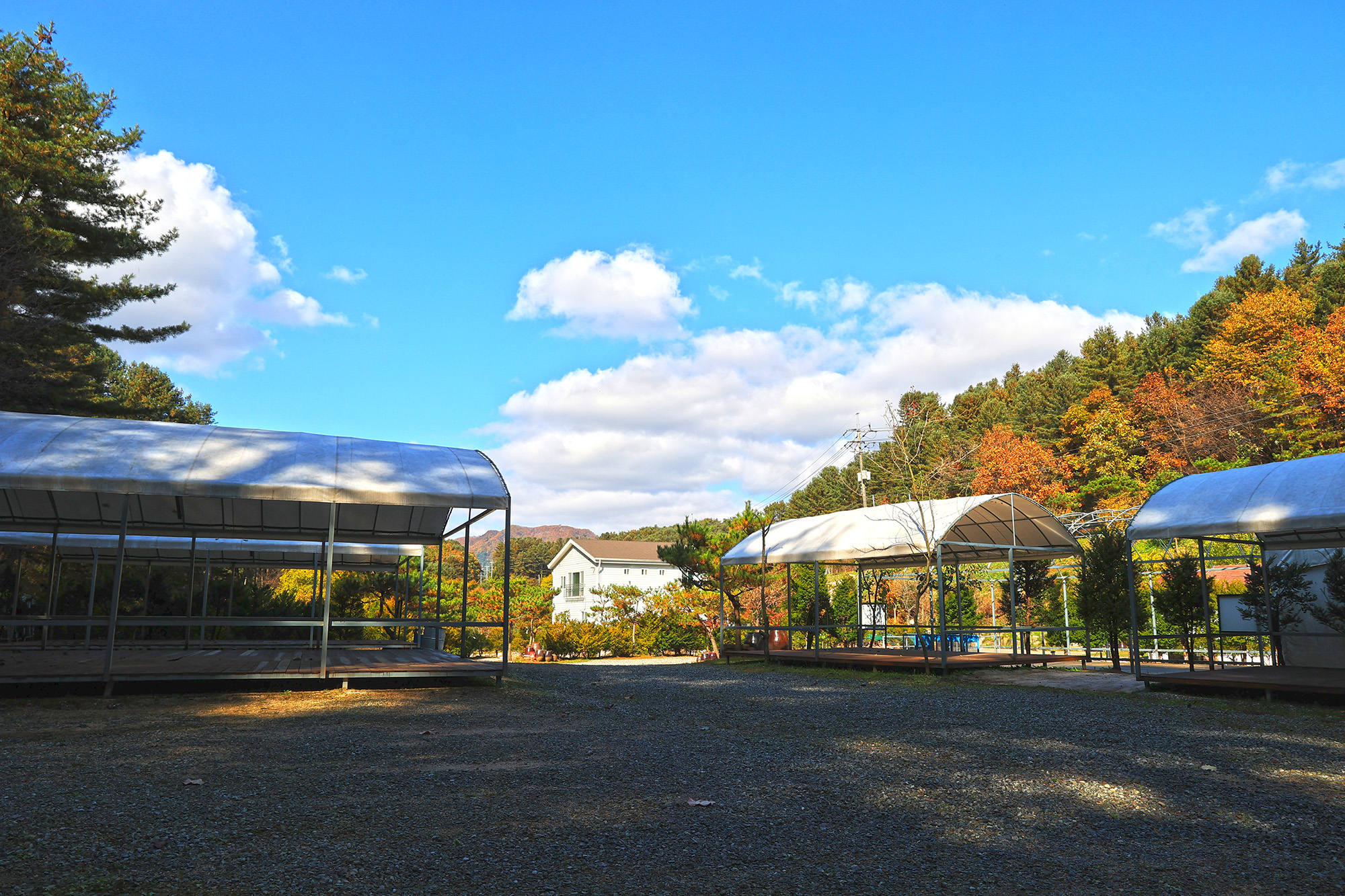 포천 땡큐247 캠핑장 이미지