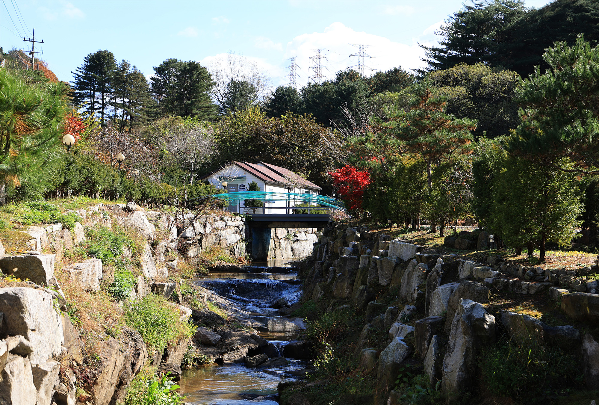 포천 땡큐247 캠핑장 이미지
