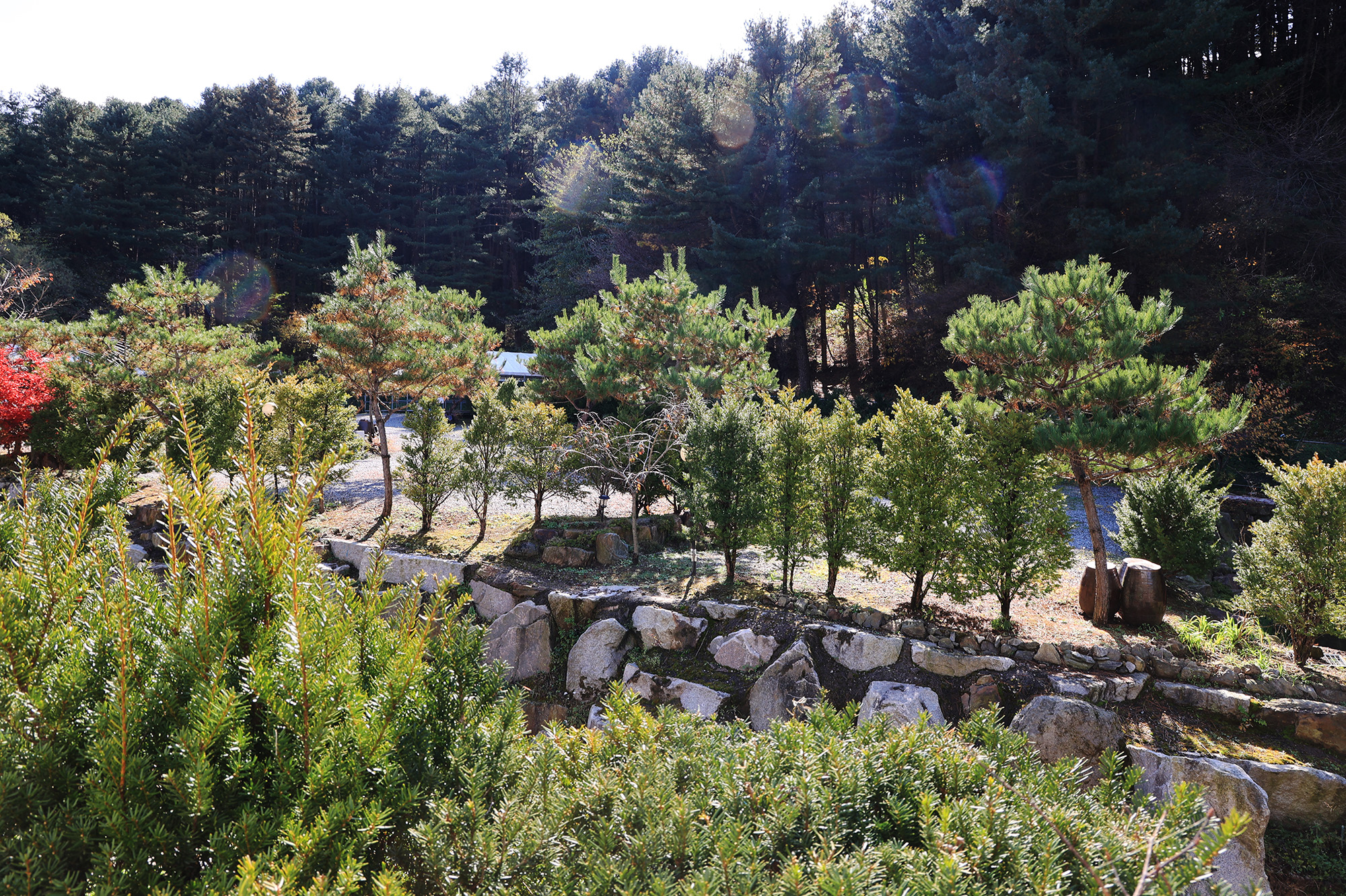 포천 땡큐247 캠핑장 이미지