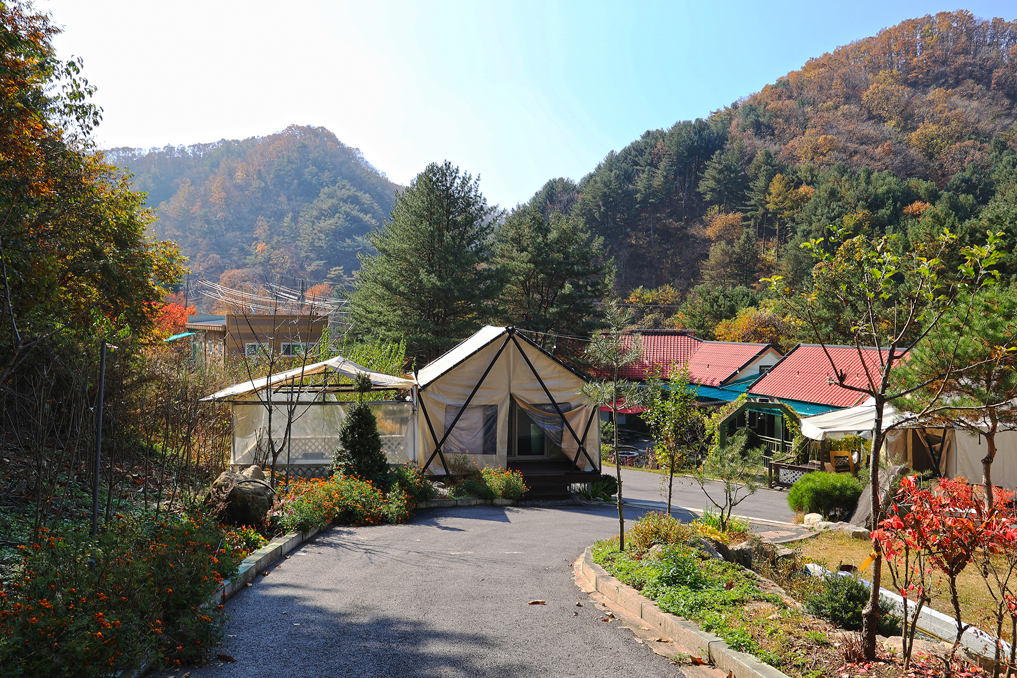 테라스527 캠핑장 이미지