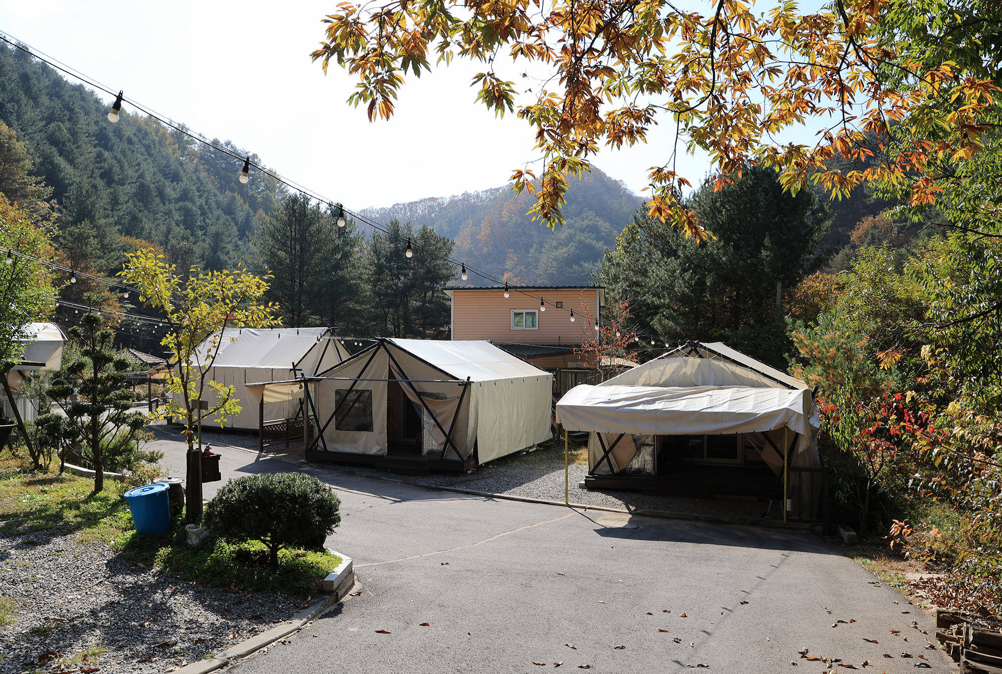 테라스527 캠핑장 이미지