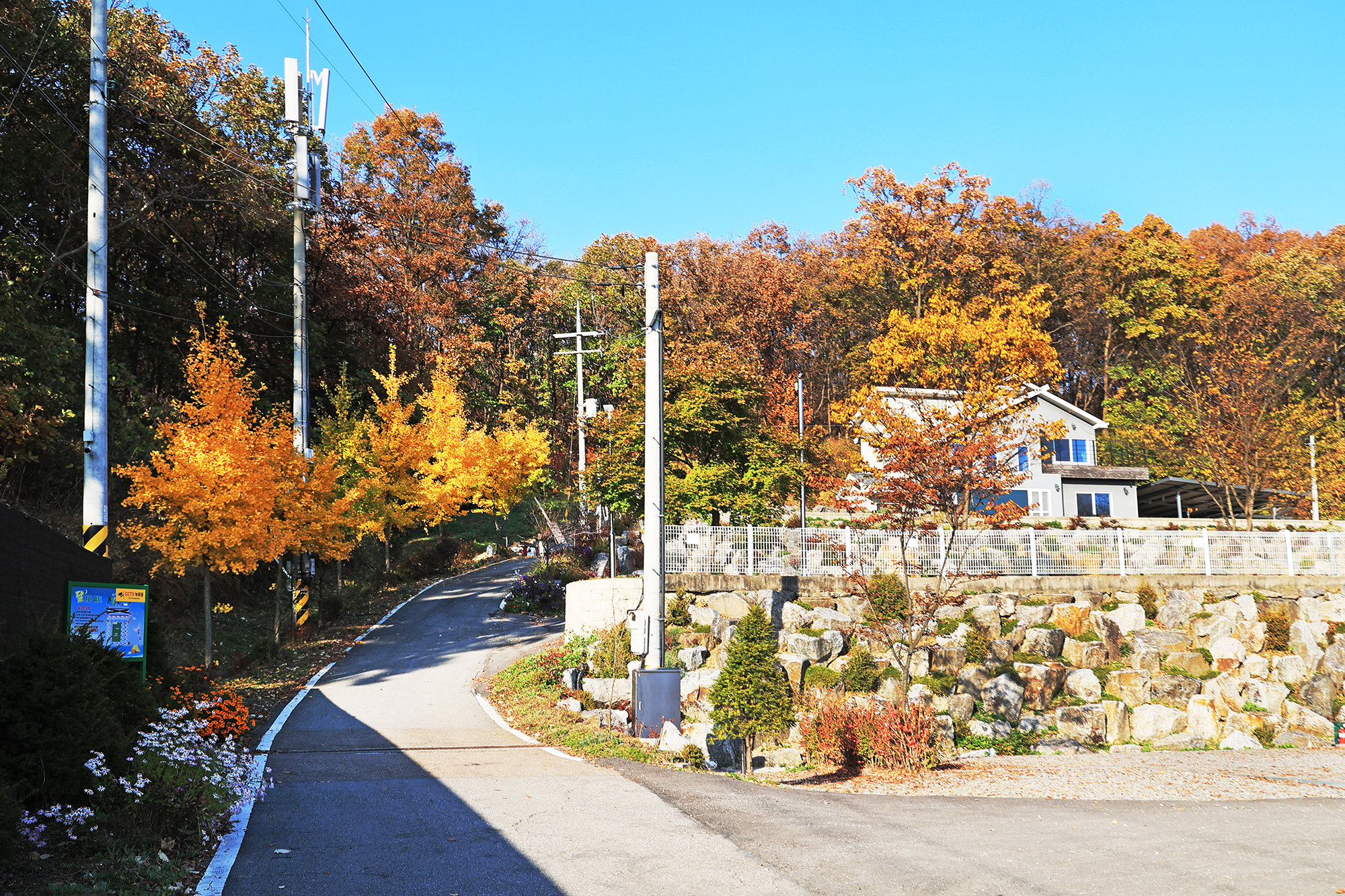 달그린캠프 이미지