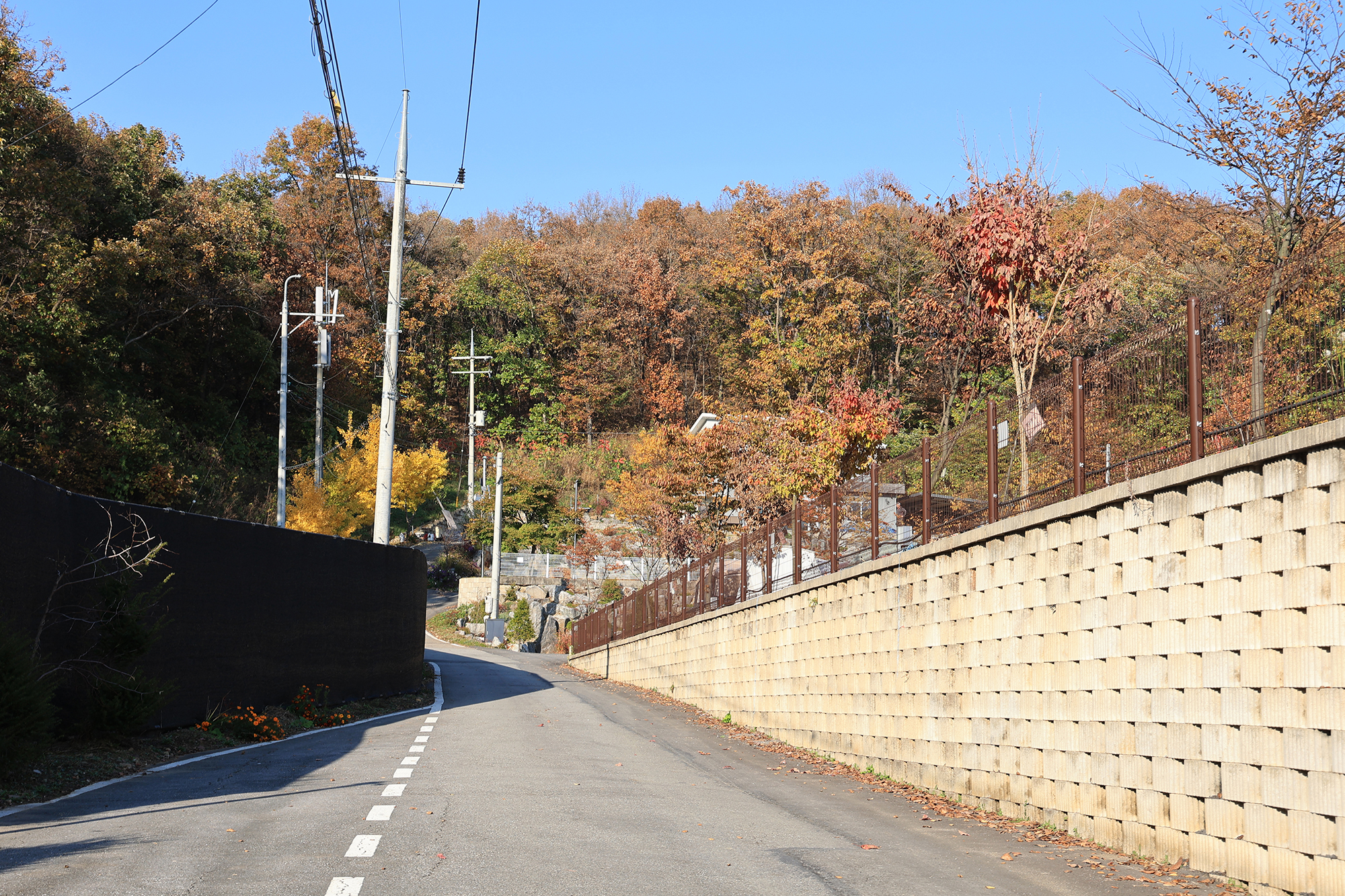 달그린캠프 이미지