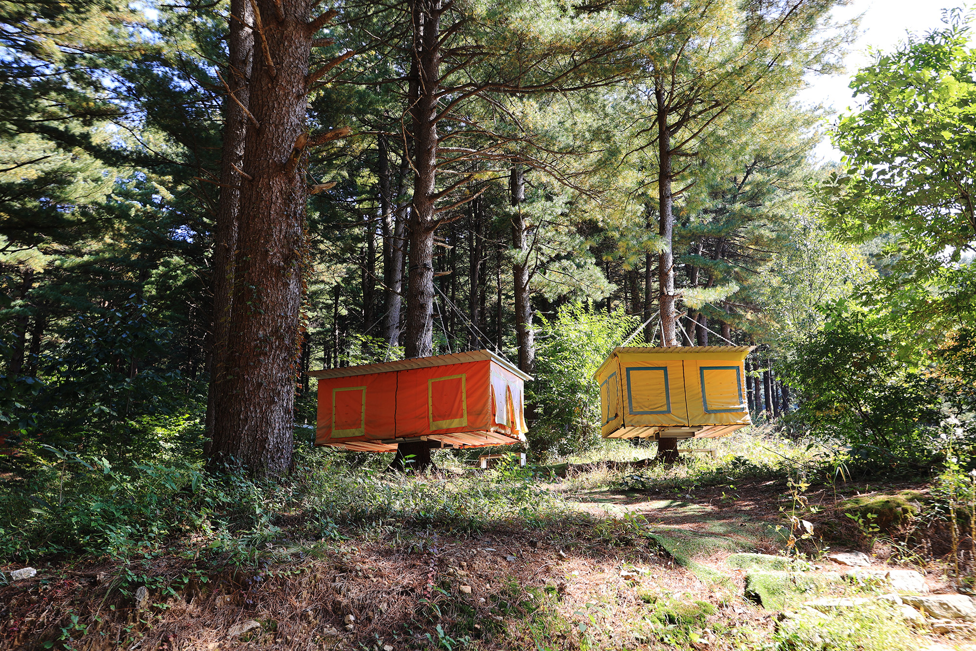 (주)구들택 겨울숲 지점 이미지
