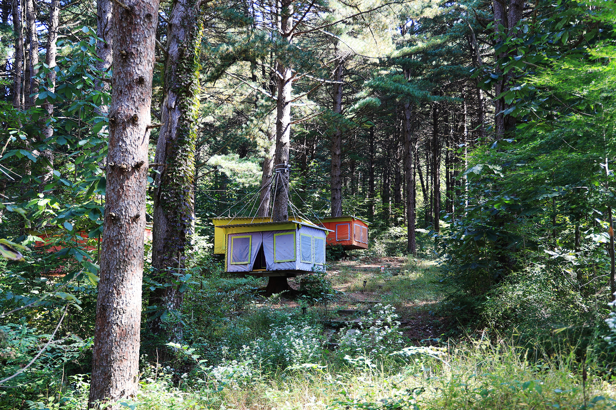 (주)구들택 겨울숲 지점 이미지