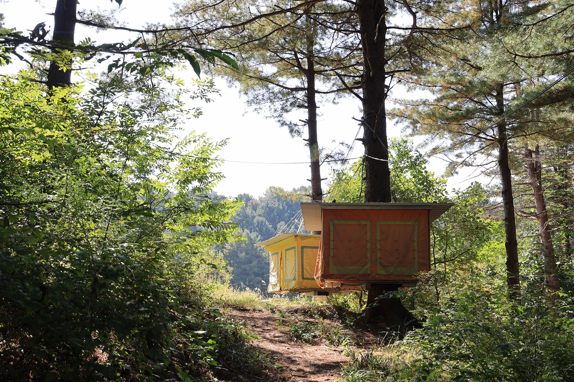 (주)구들택 겨울숲 지점 이미지