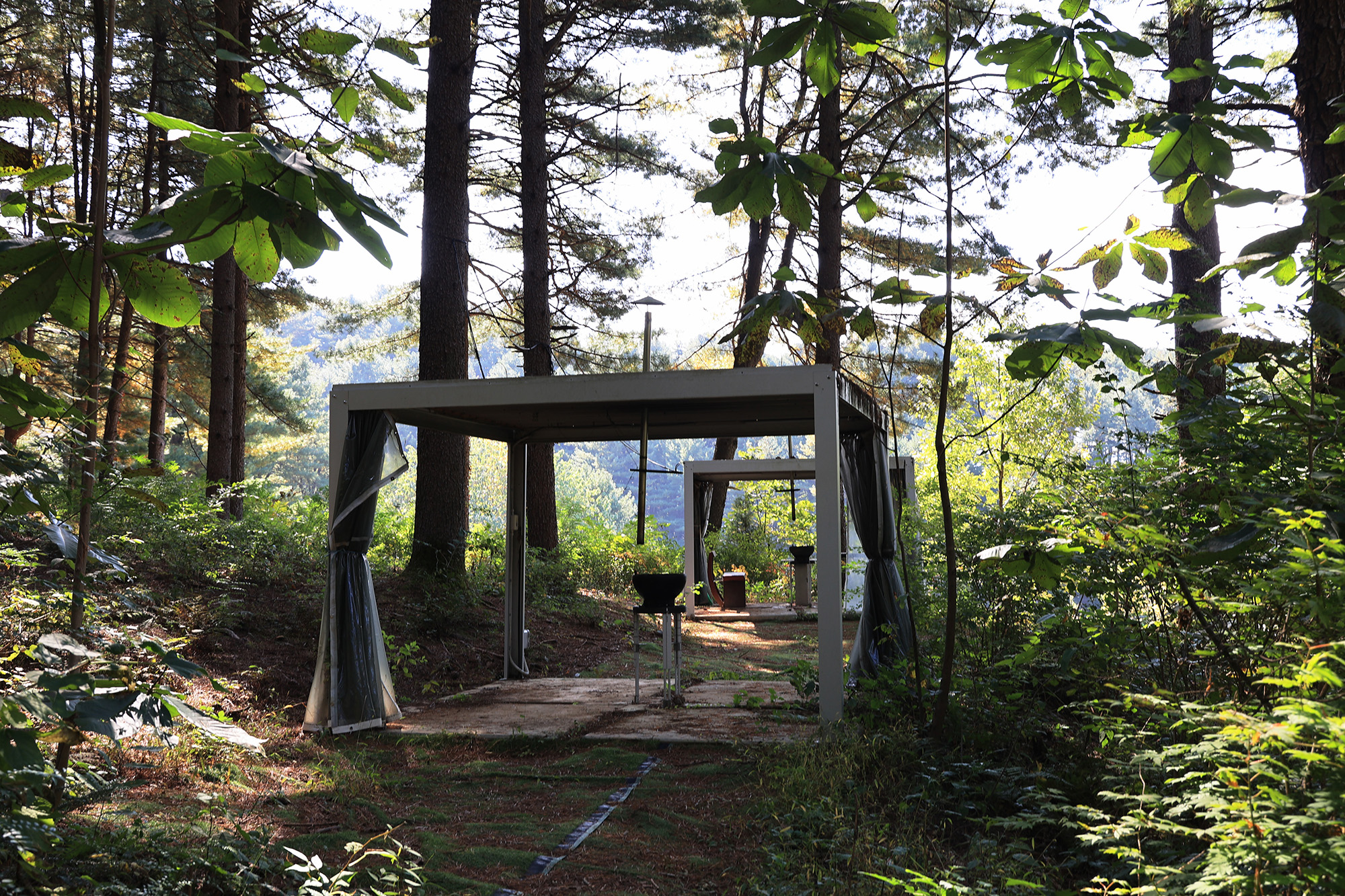 (주)구들택 겨울숲 지점 이미지