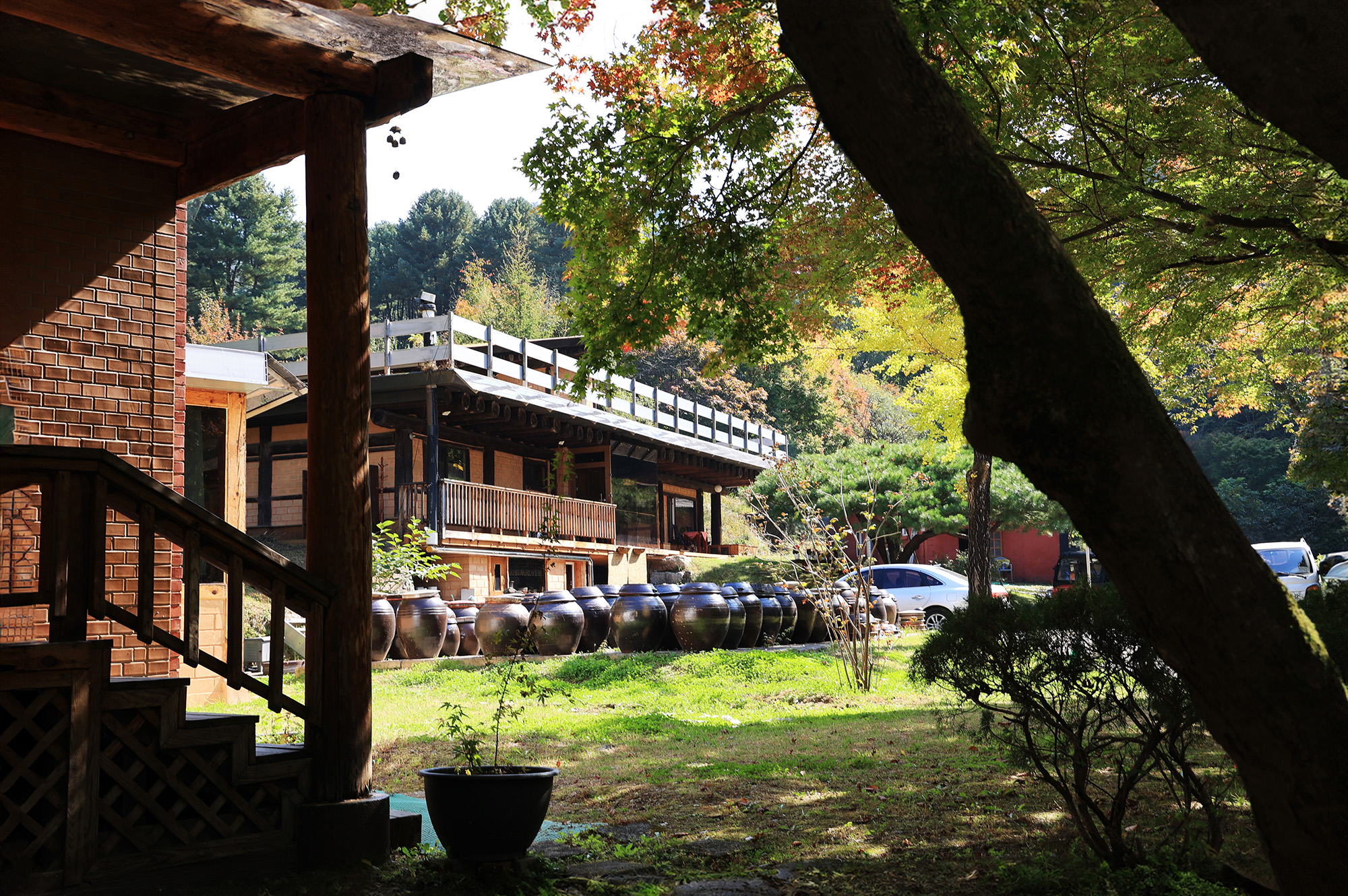 (주)구들택 겨울숲 지점 이미지