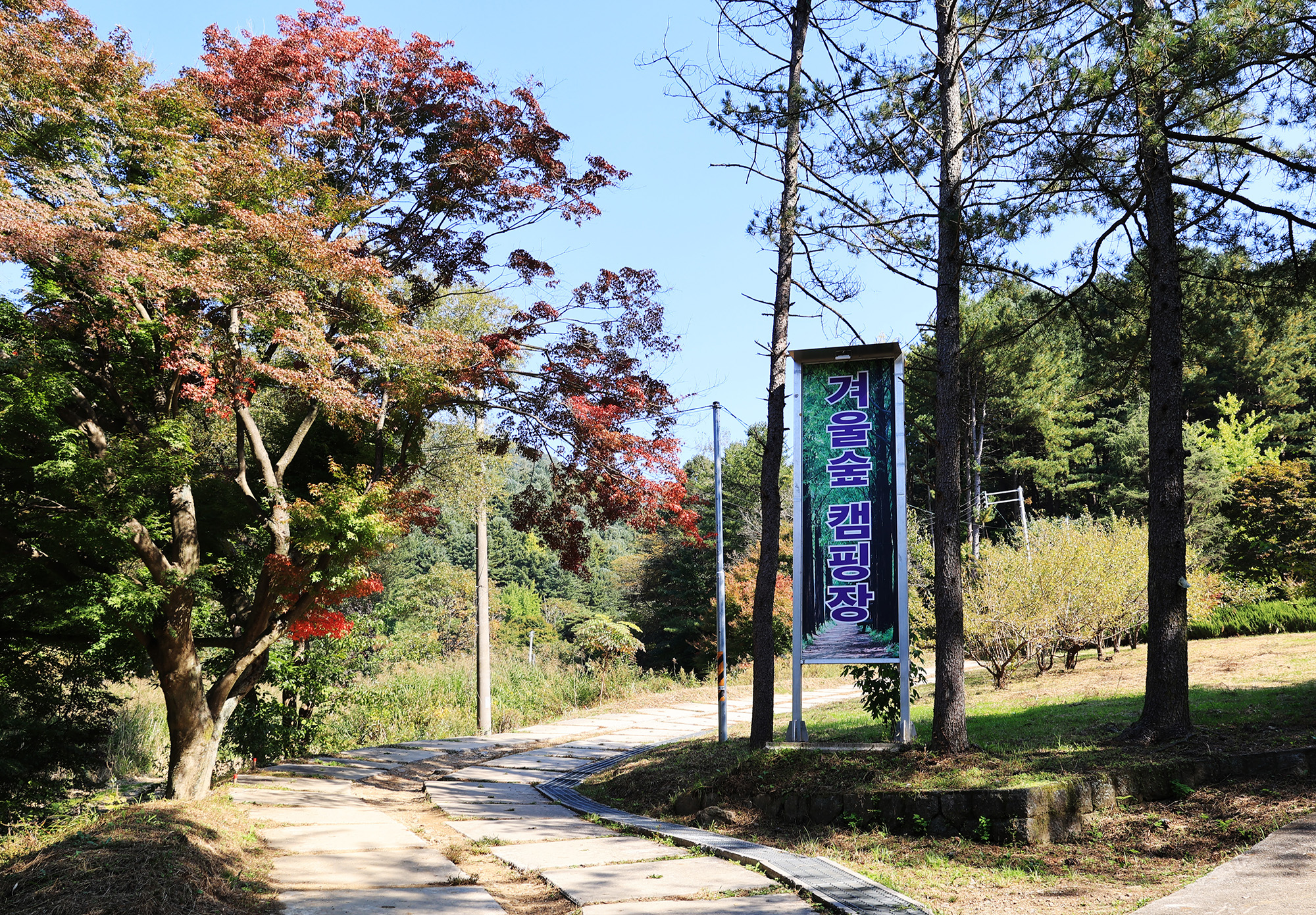 가평 (주)구들택 겨울숲 지점 3