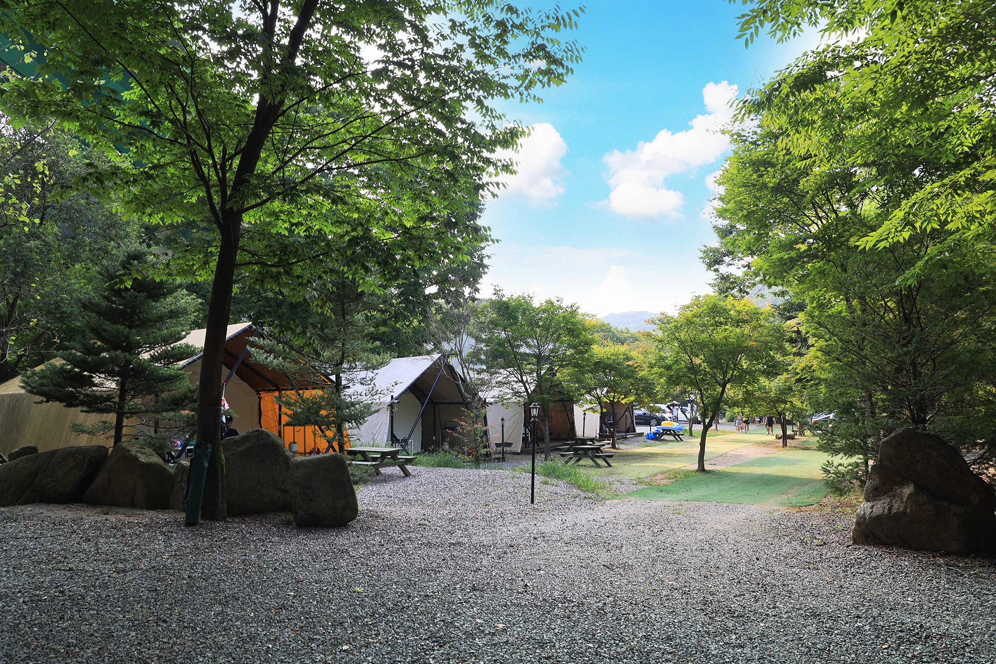 태양힐링숲 이미지