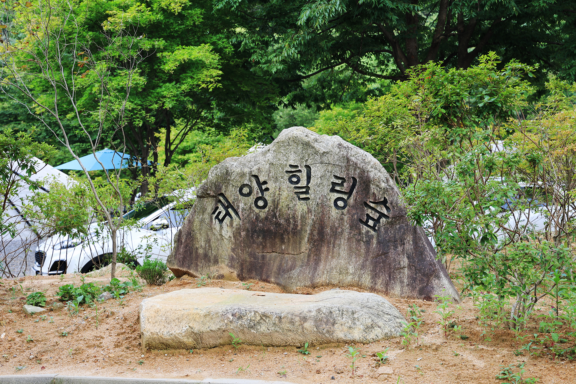 파주 태양힐링숲 11