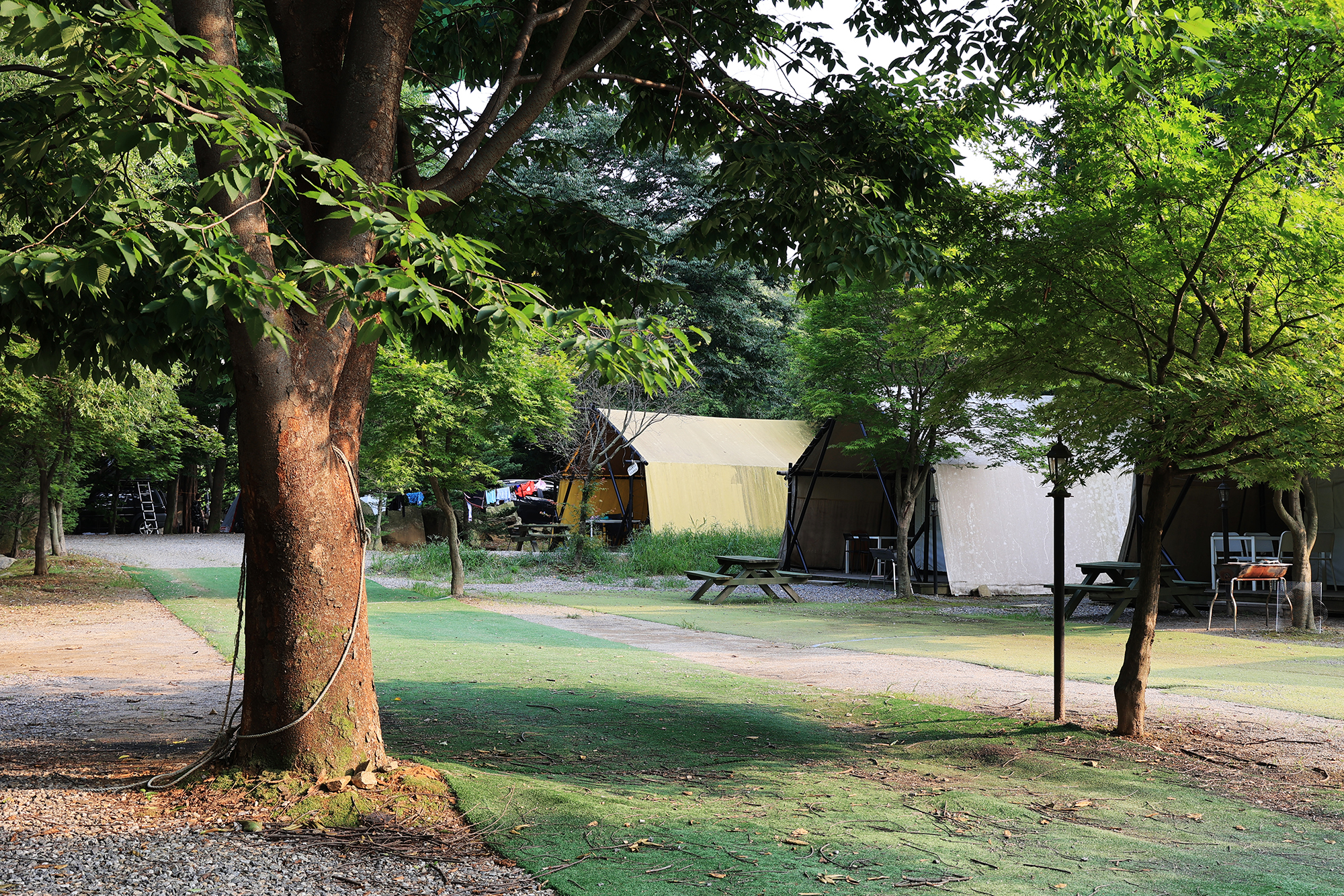 태양힐링숲 이미지