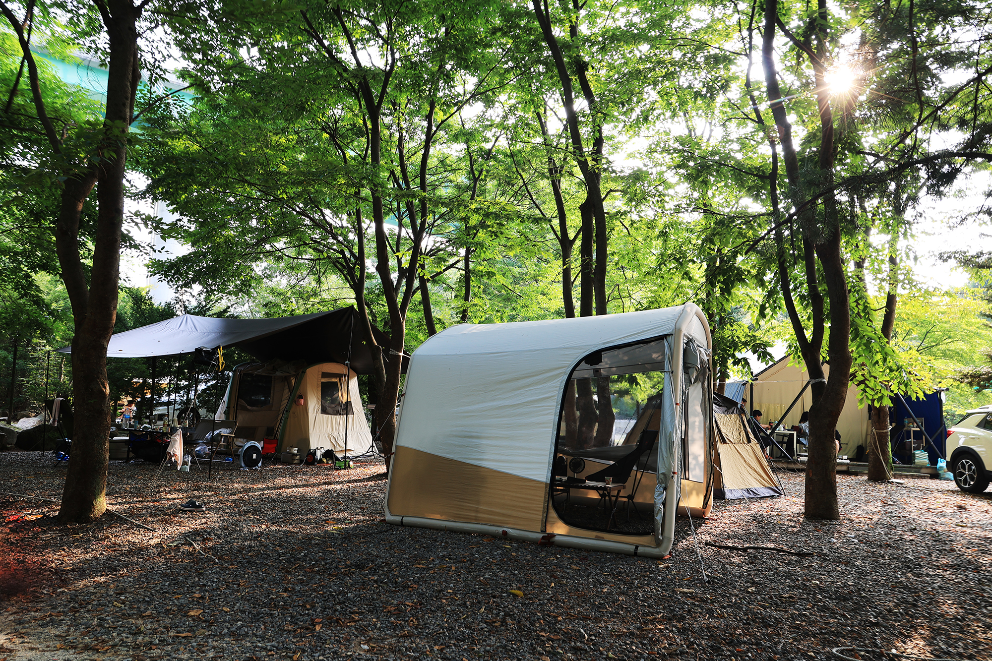 태양힐링숲 이미지