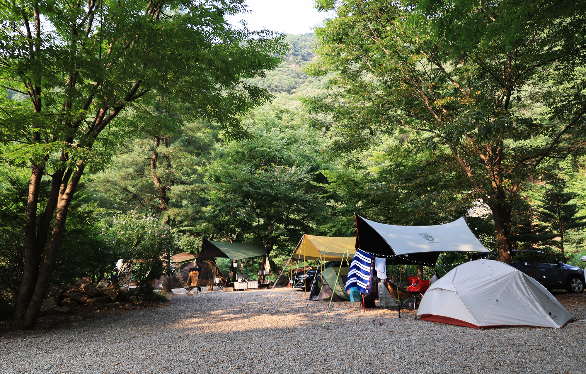 태양힐링숲 이미지