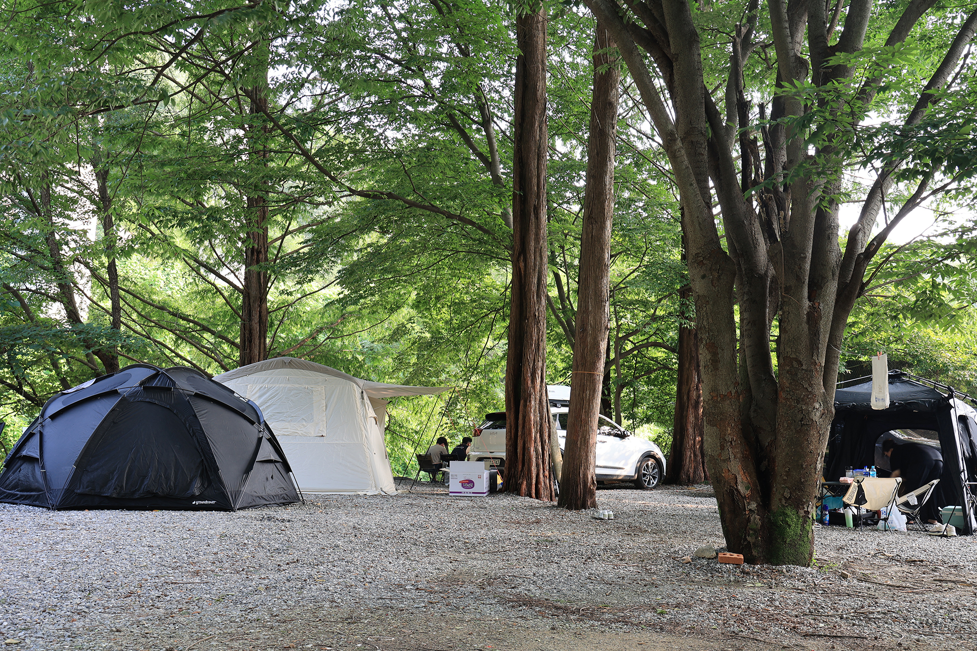 태양힐링숲 이미지