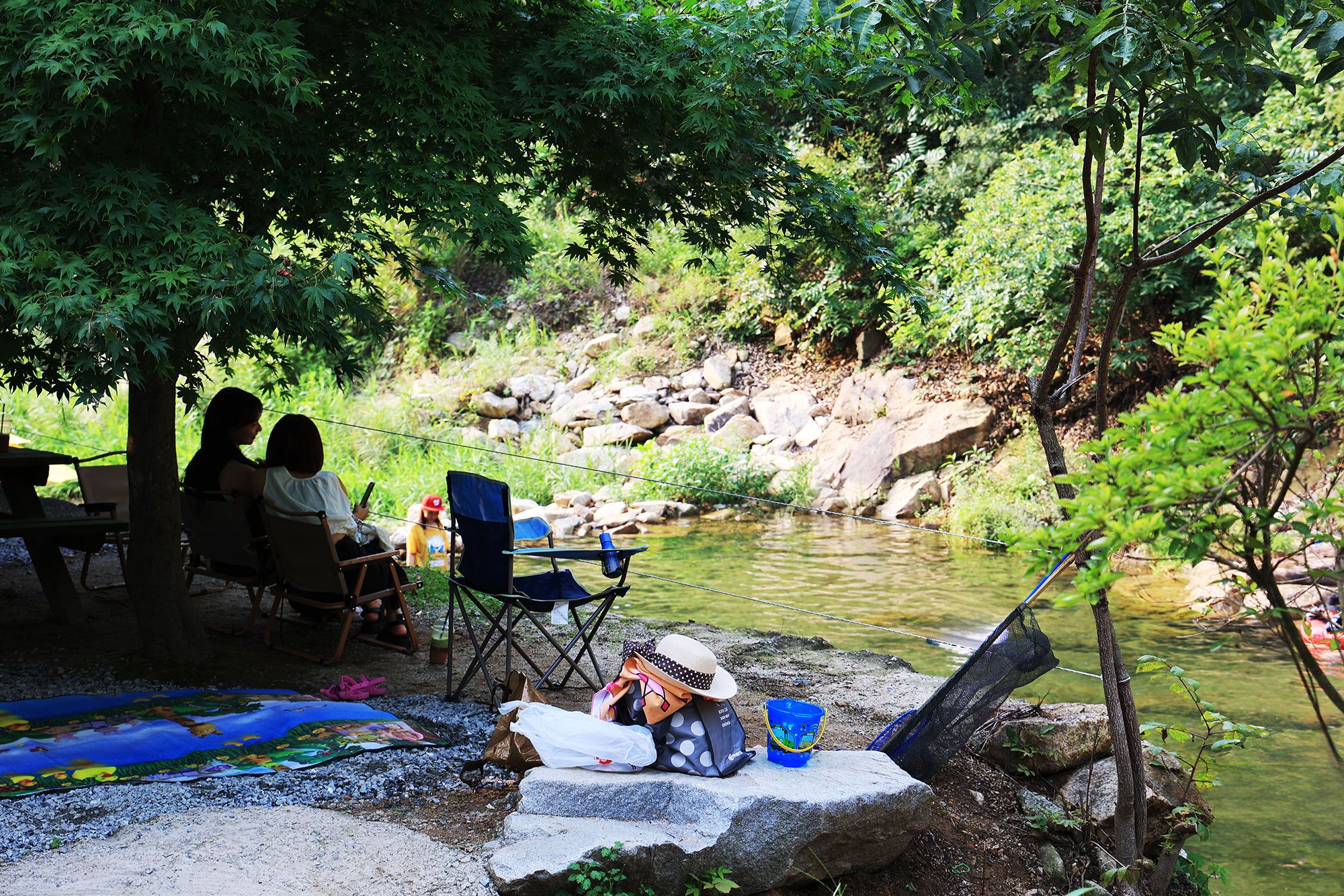 태양힐링숲 이미지