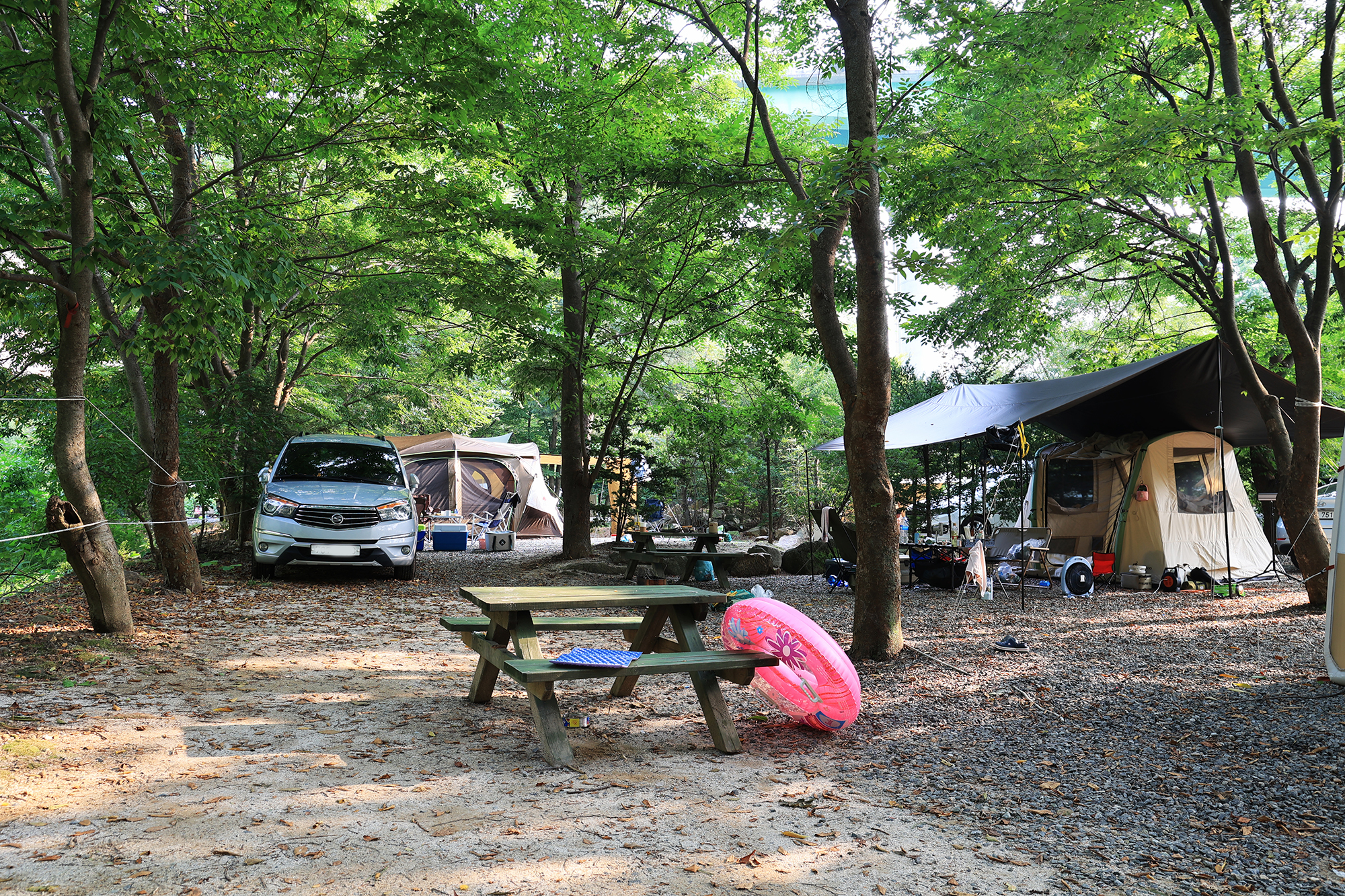 태양힐링숲 이미지