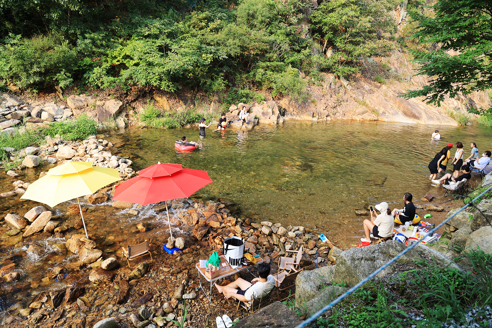 태양힐링숲 이미지