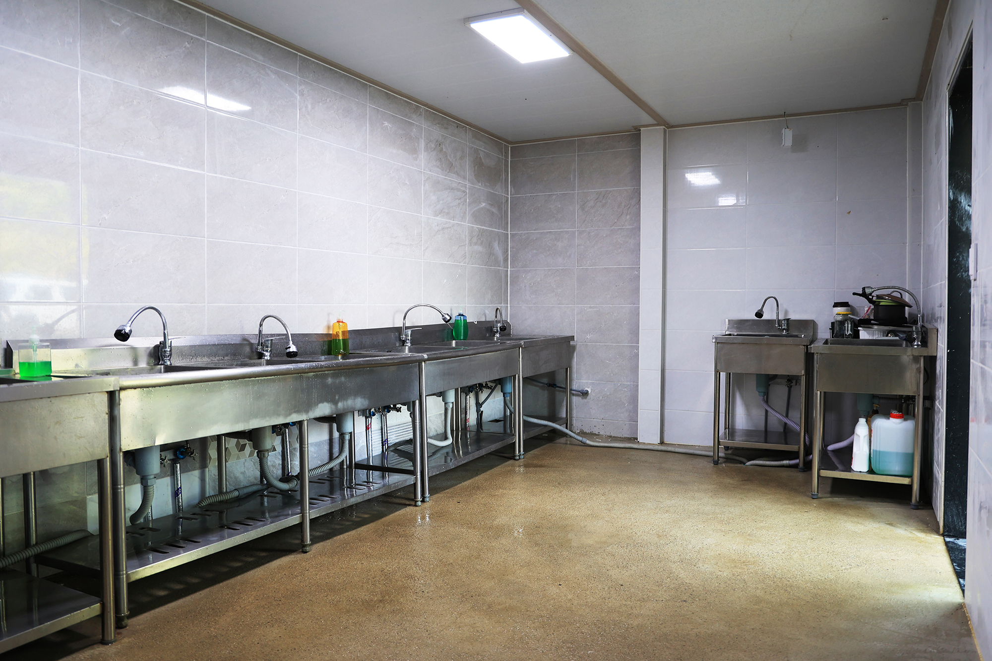 태양힐링숲 이미지