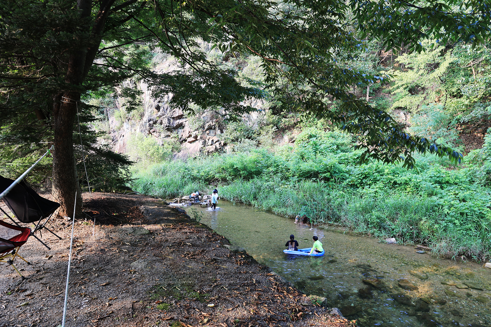 태양힐링숲 이미지