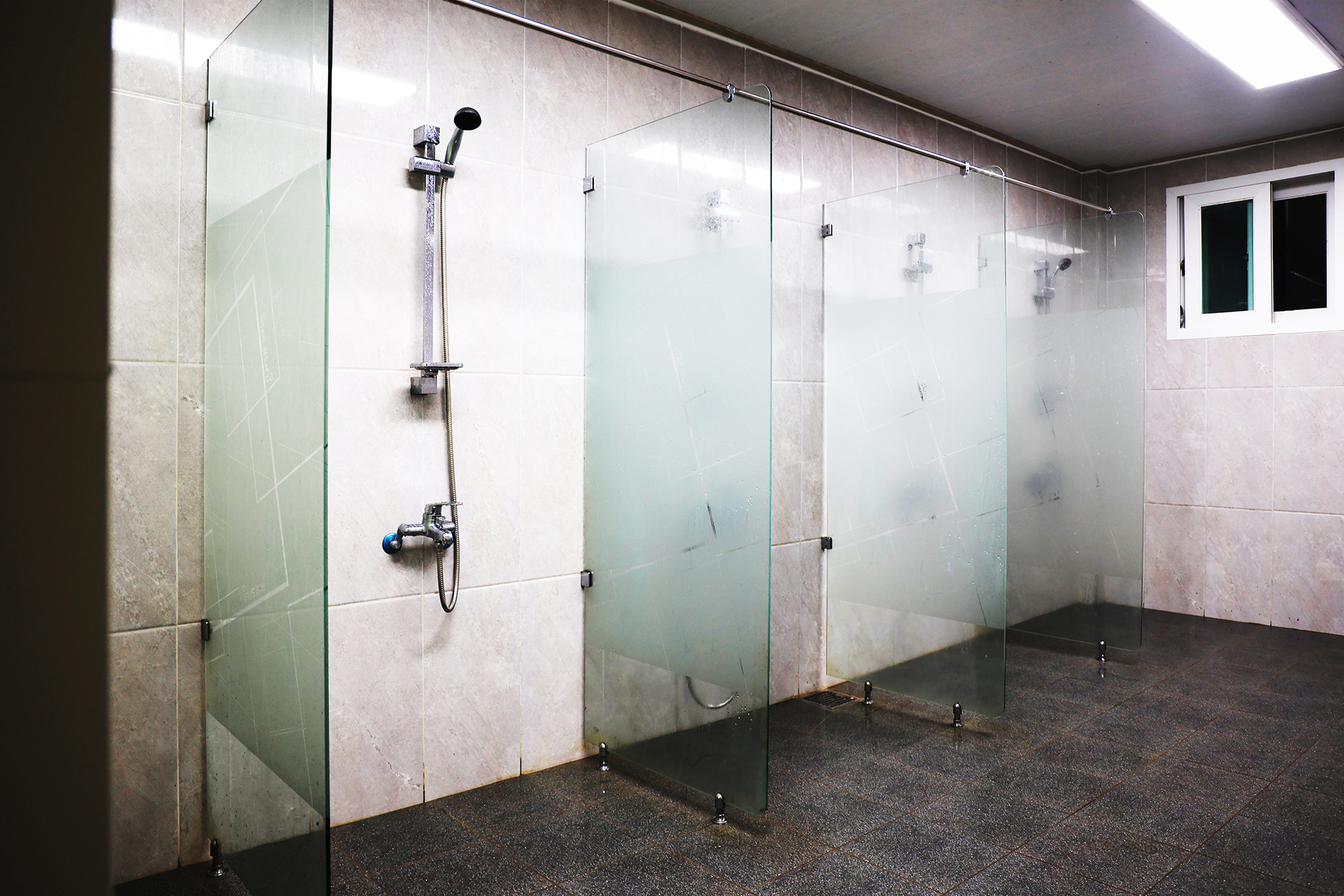 태양힐링숲 이미지