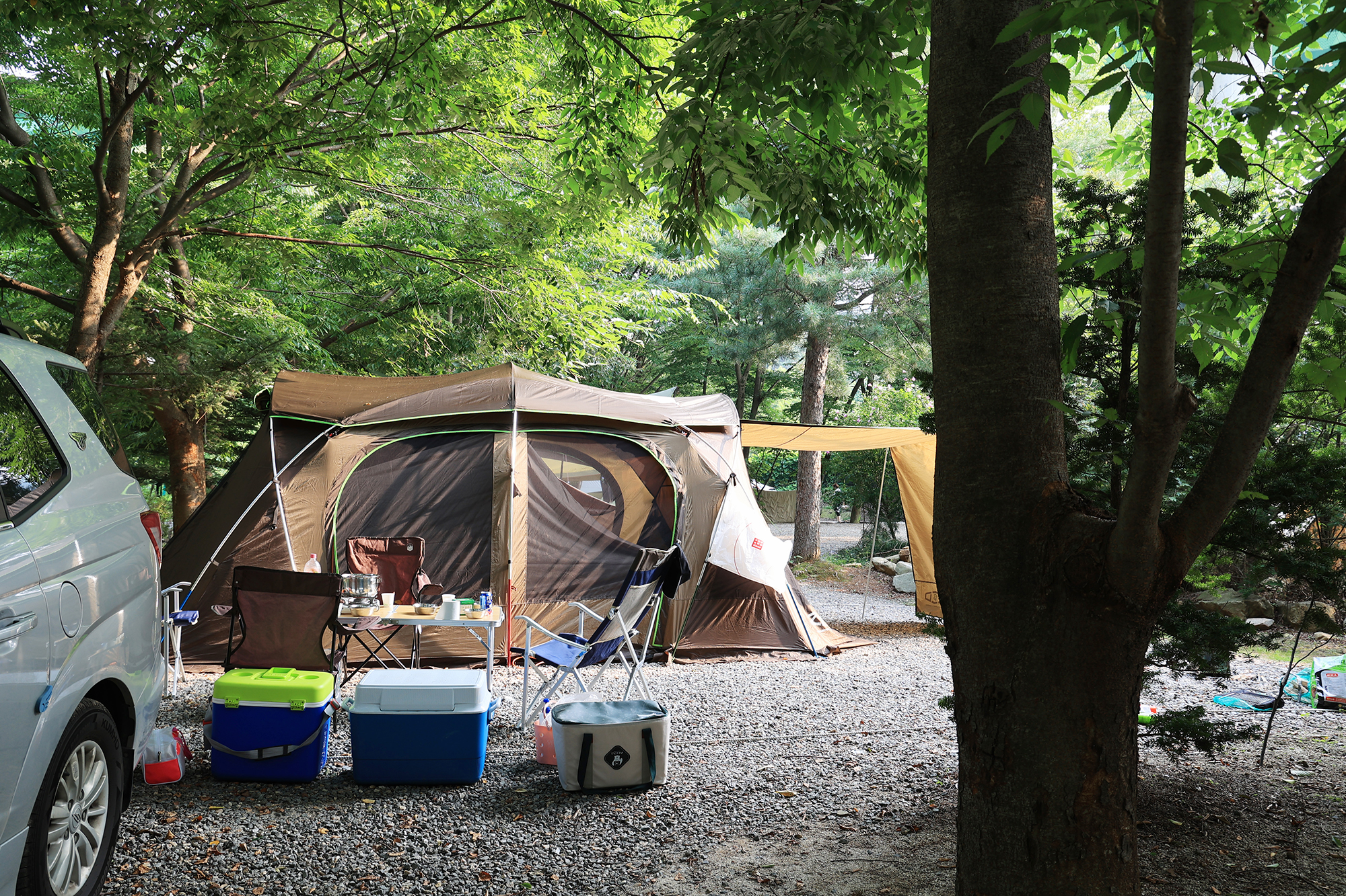 태양힐링숲 이미지