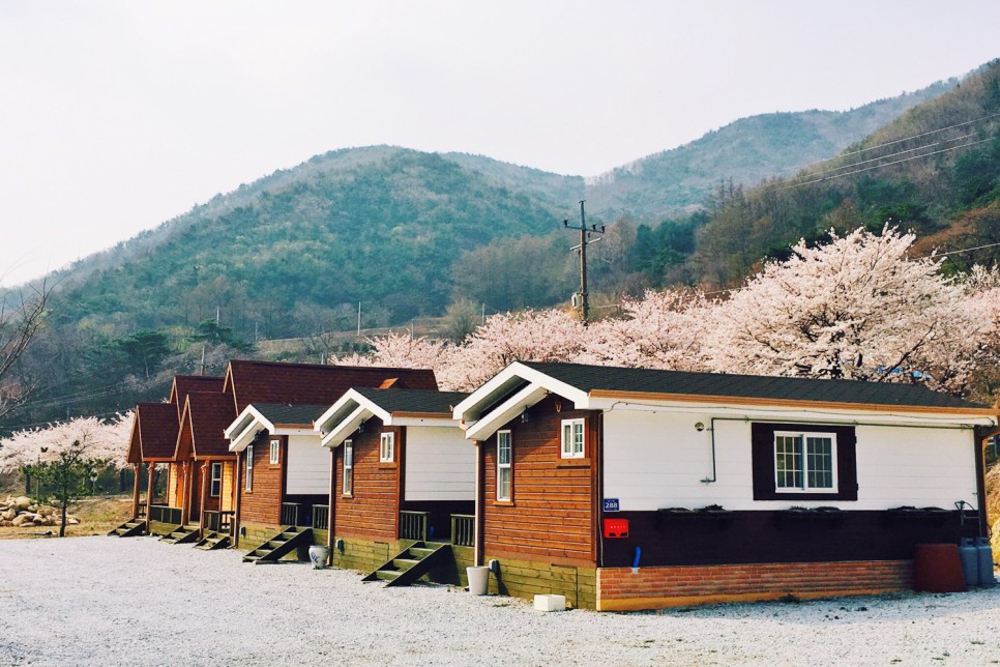 소백산자연누리야영장 16번째 이미지